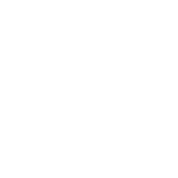 Security Icon