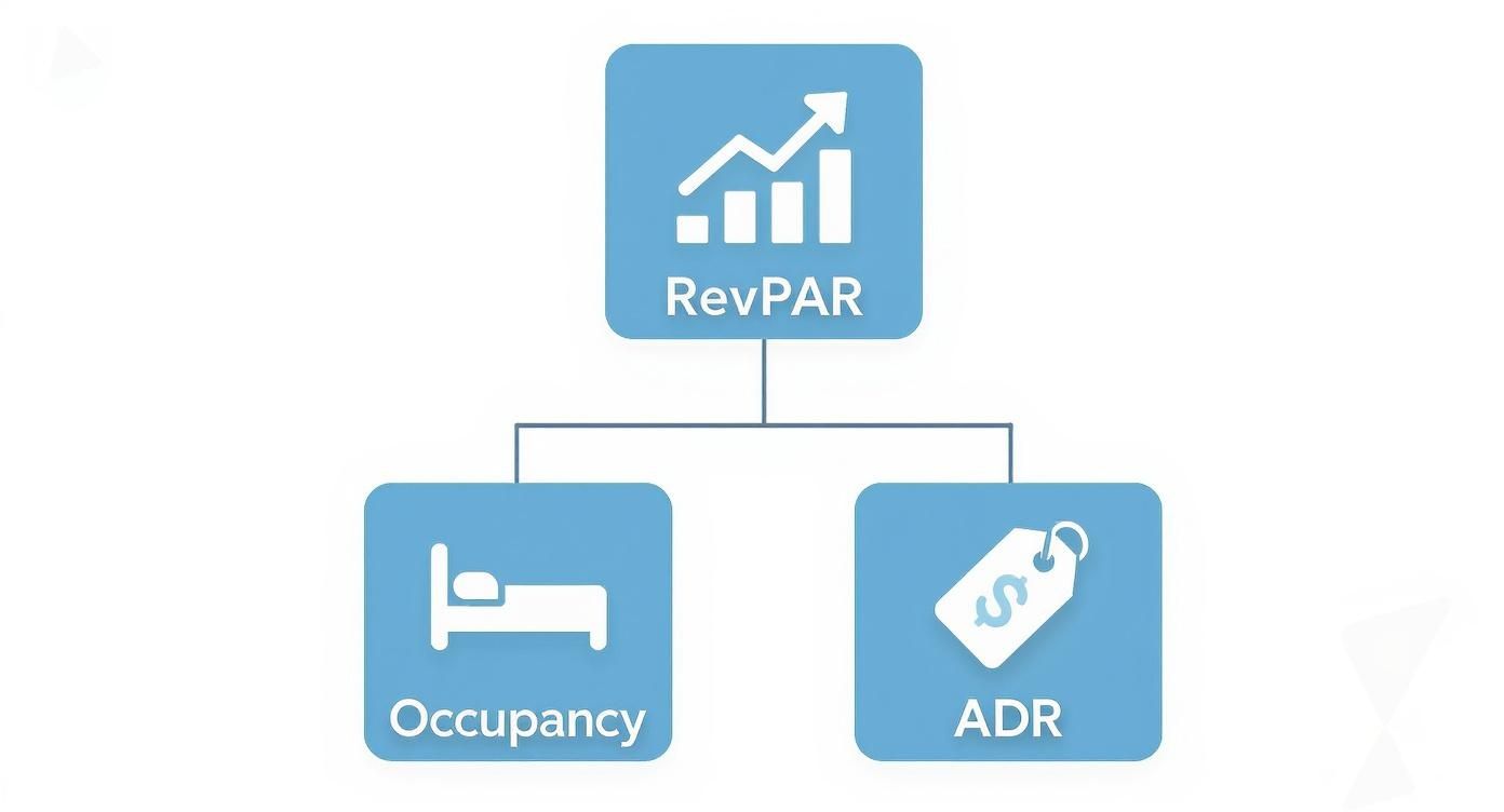 Infographic about what is revpar in hotel industry