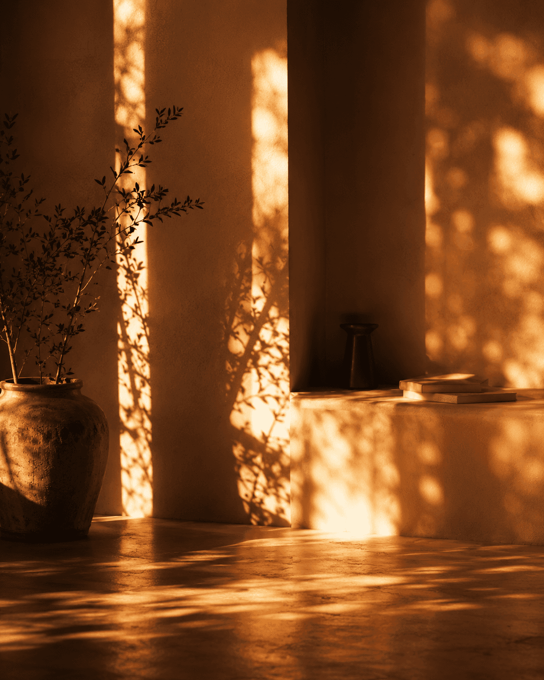 Yoga studio with bright golden sunlight