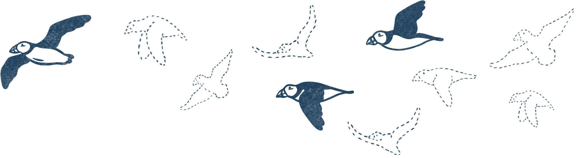 The illustration of flying puffins depicts the drastically decreasing number of these birds, highlighted by their fading silhouettes.