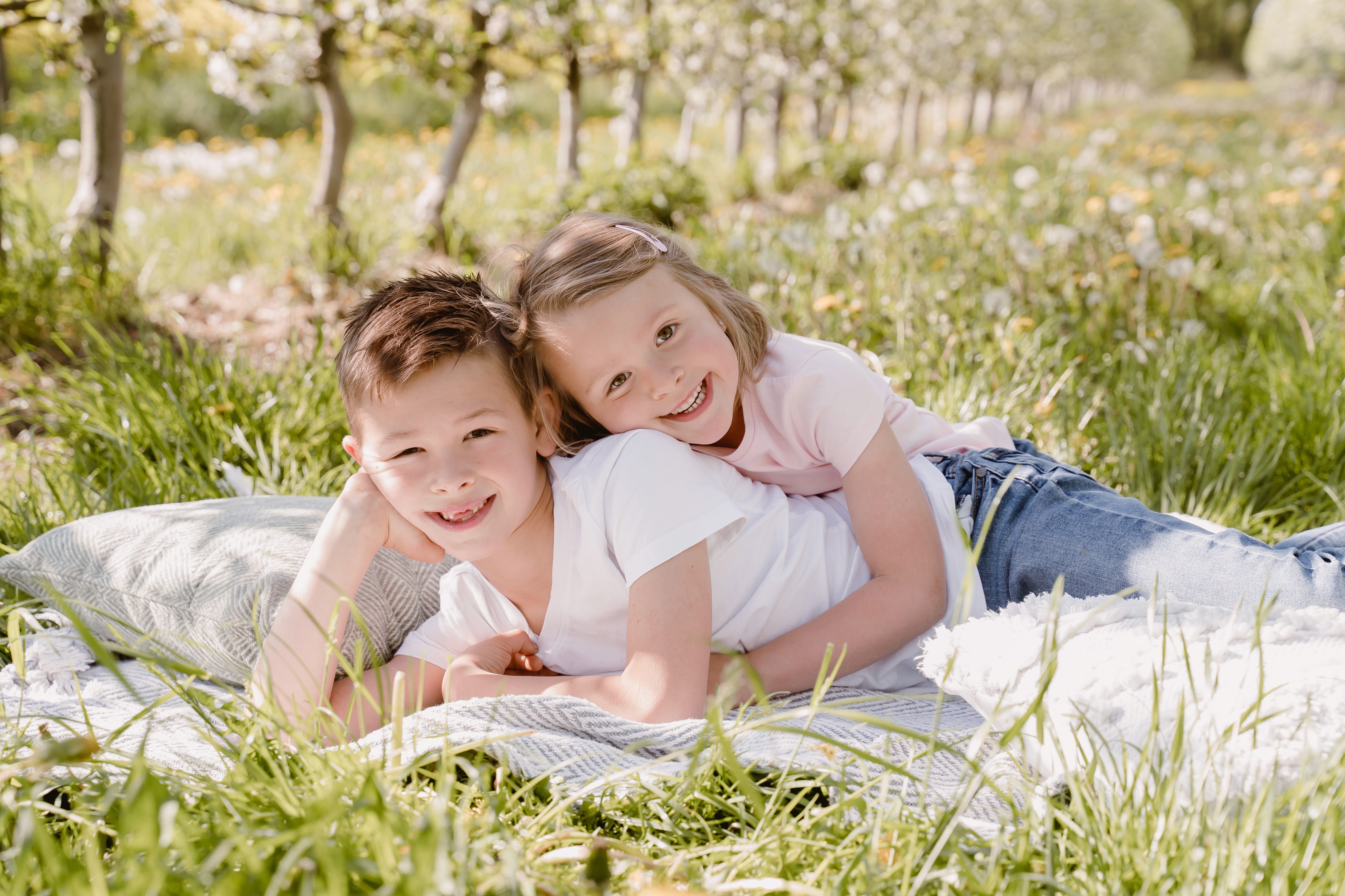 Close-up of agave plant leaves