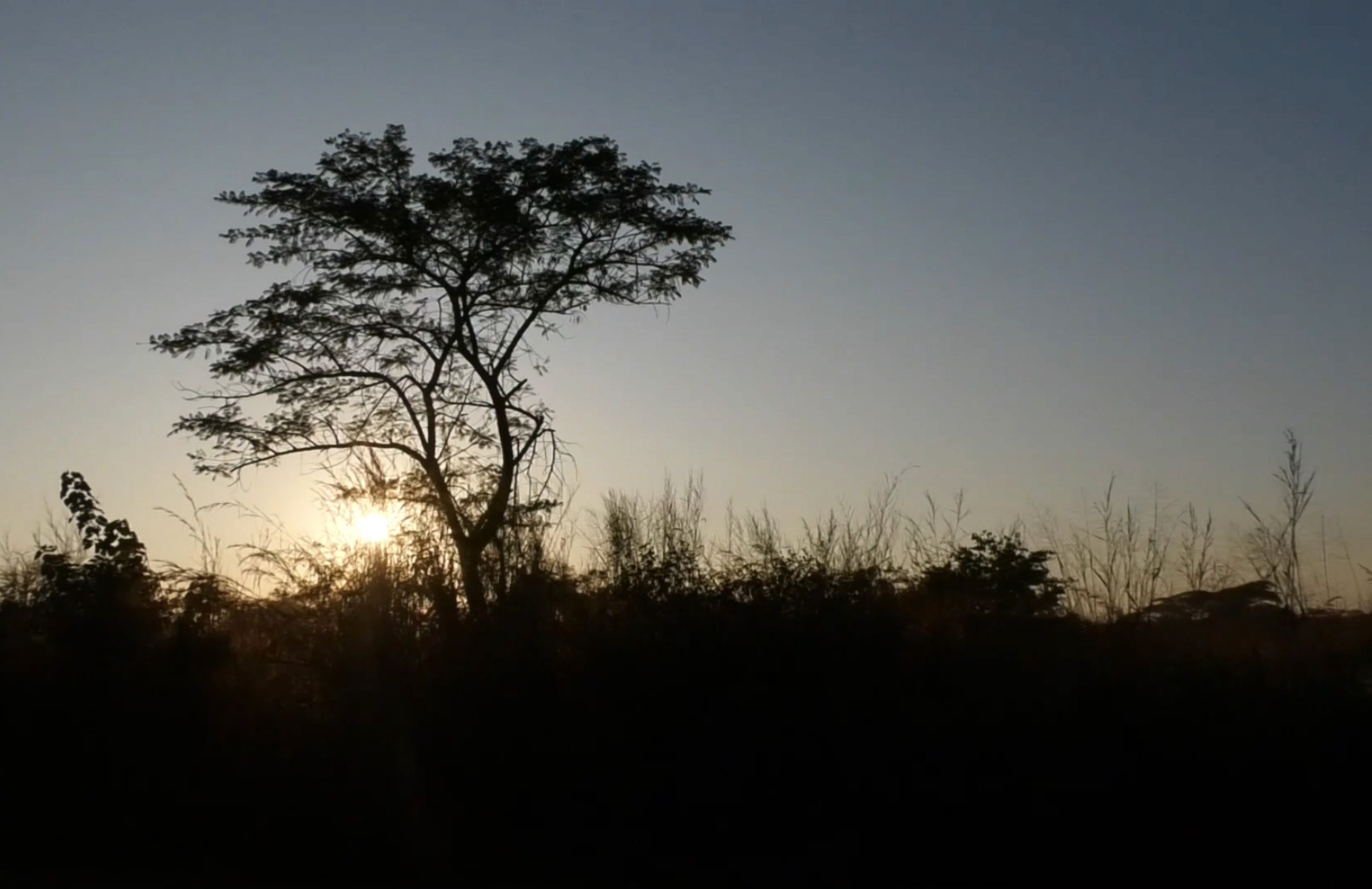 Discovery Illustration Large - Invstor X Framer Template