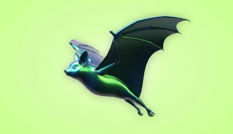 How to Identify Bats