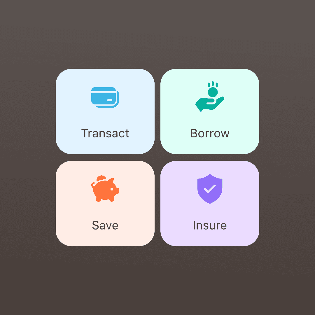 Four product category tiles on a dark background representing the app's core services: Transact, Borrow, Save, and Insure, each with a distinct pastel colour and icon.