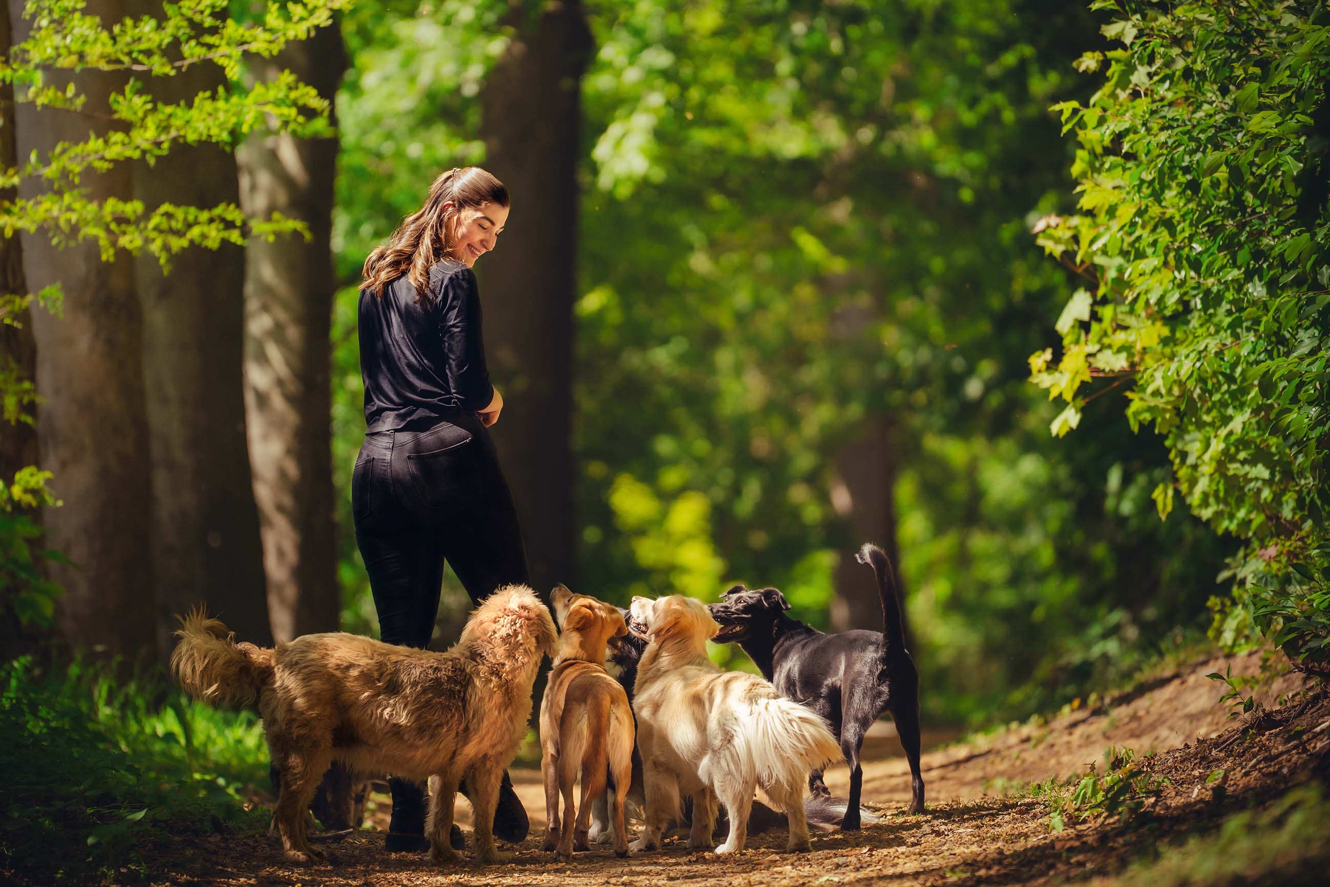 Xenia mit ihrer Hundegruppe im Wald