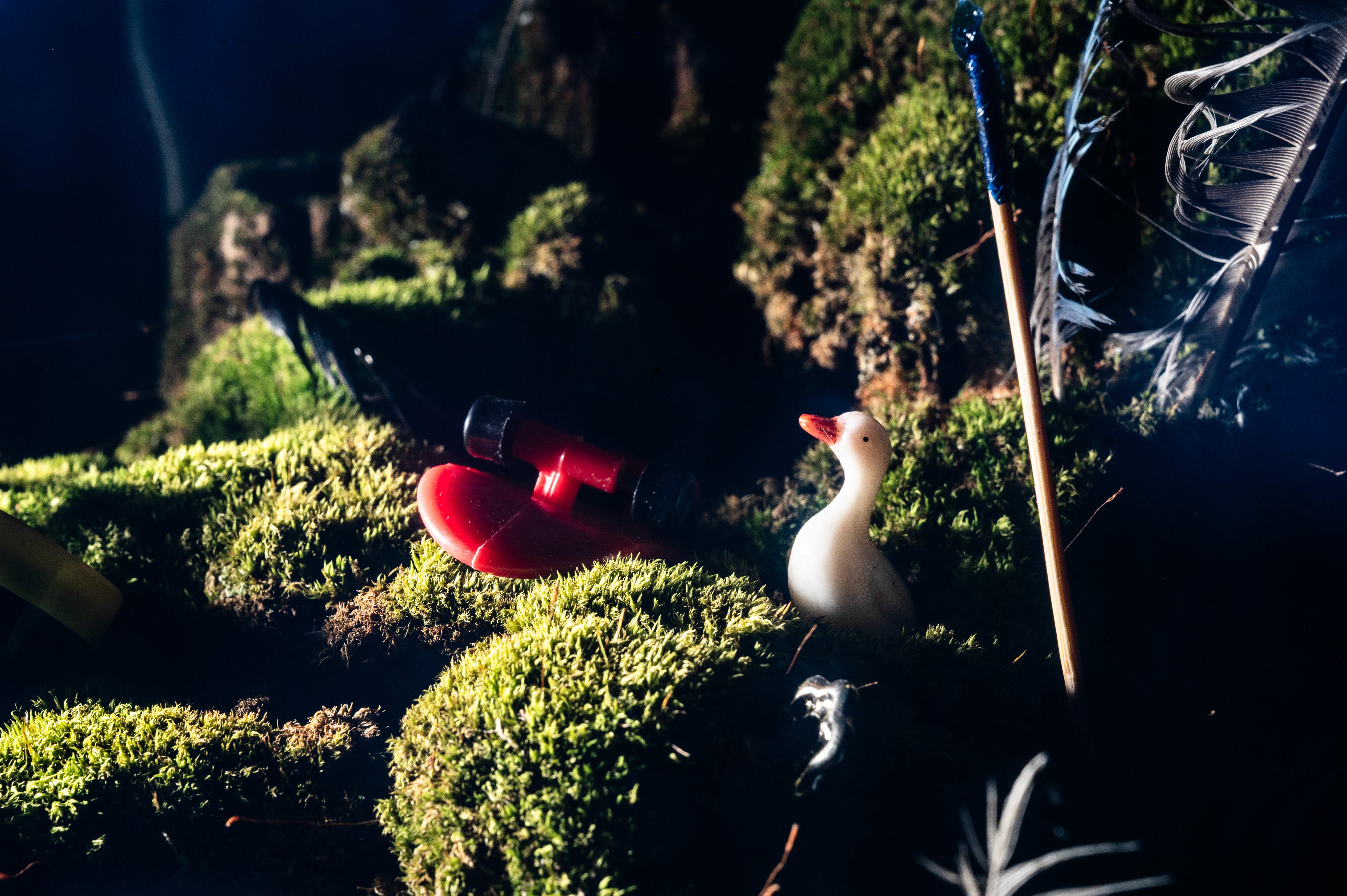 A DRUNK DRIVING MEMORIAL. SPRING 2025. COLLINSVILLE, CT. NIKON Z6.