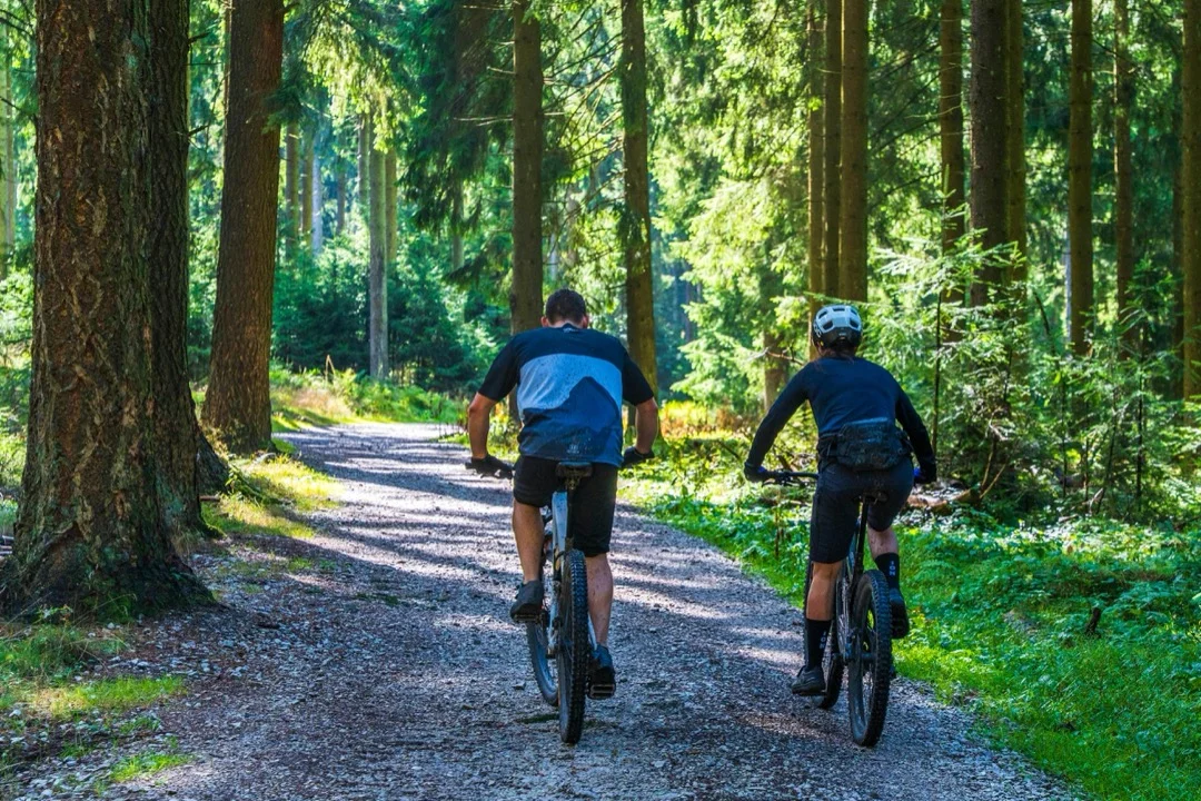 cyclists riding through a lush green forest