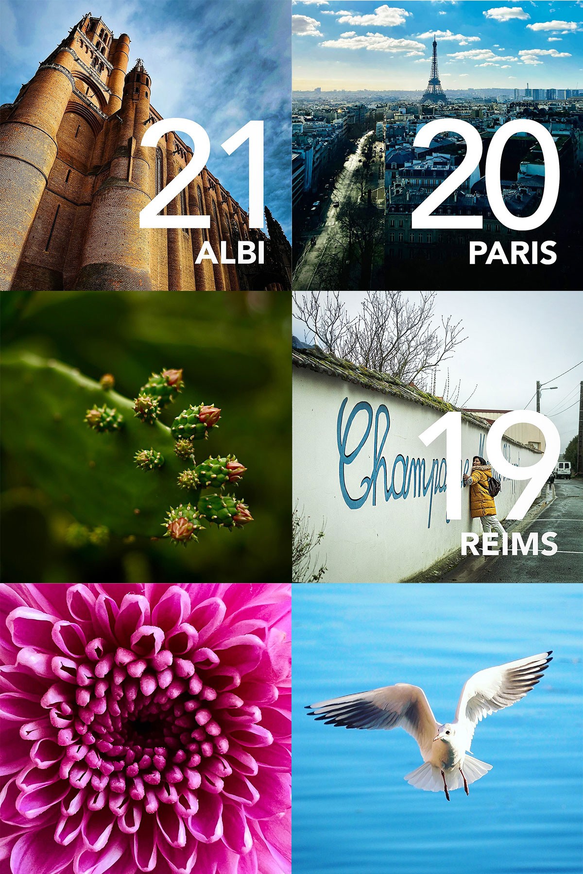 Dom Pérignon vineyards from the sky