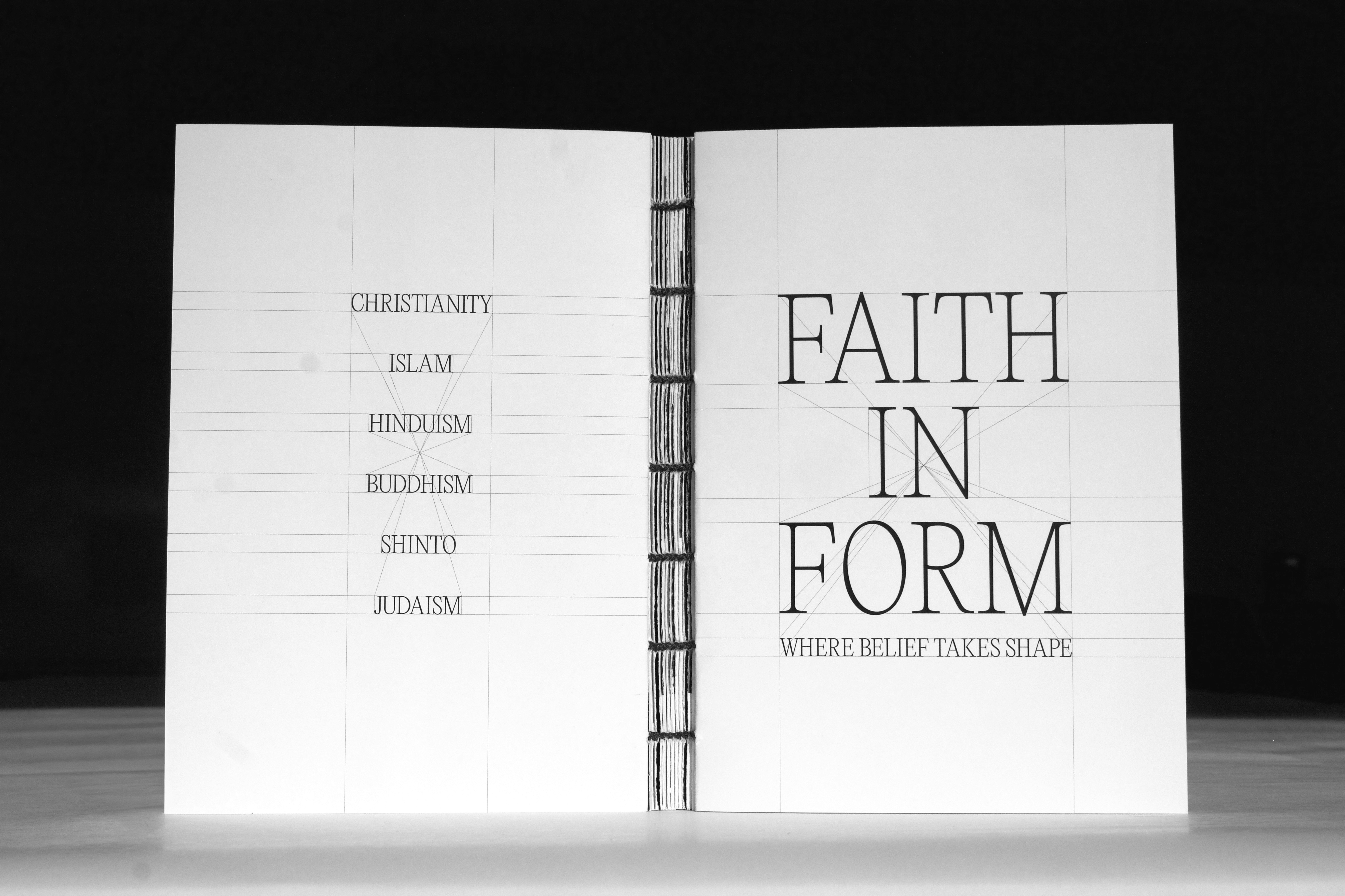 Person holding the Falsehoods & Fallacies book, showing the cover design.