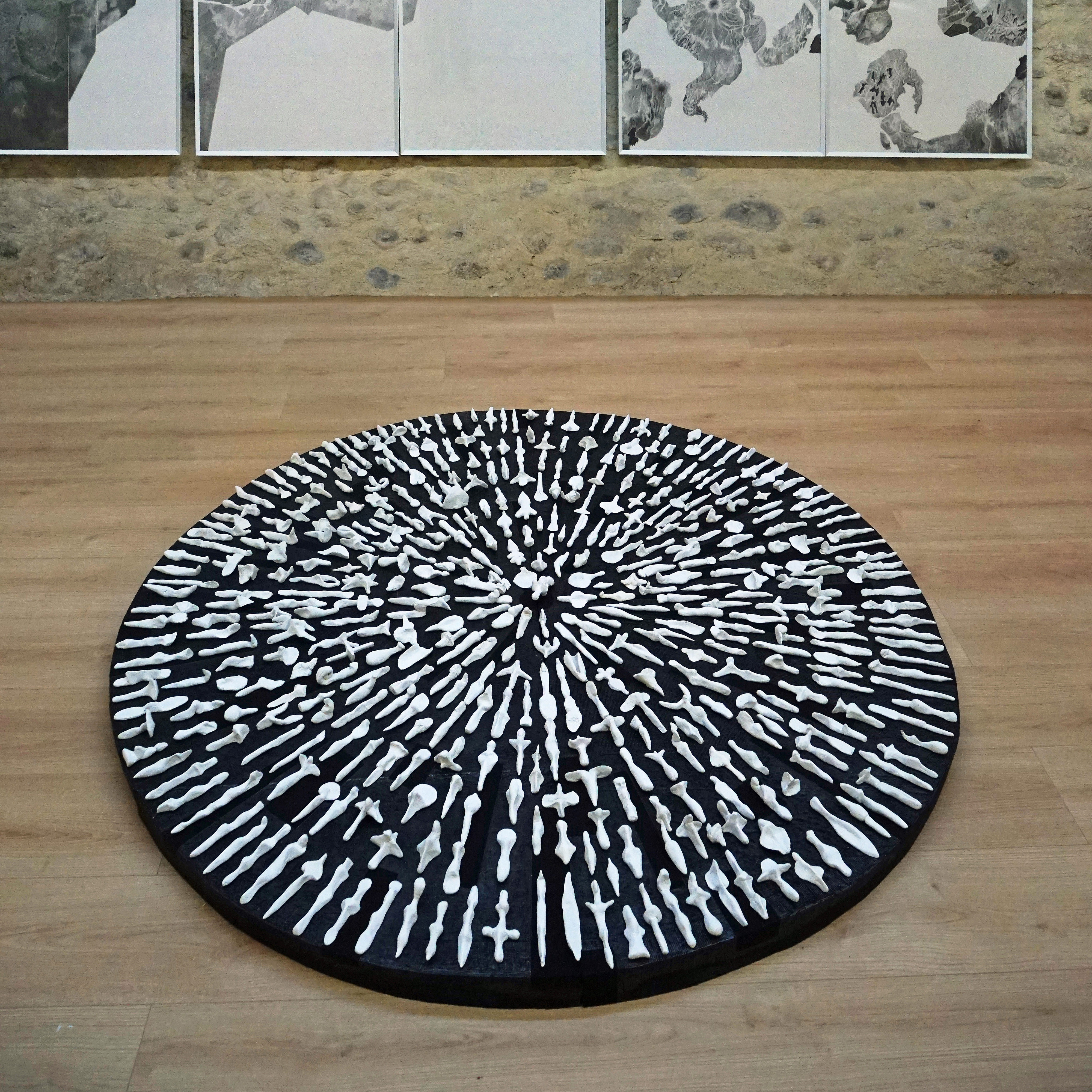 Installation idoliformes plâtre