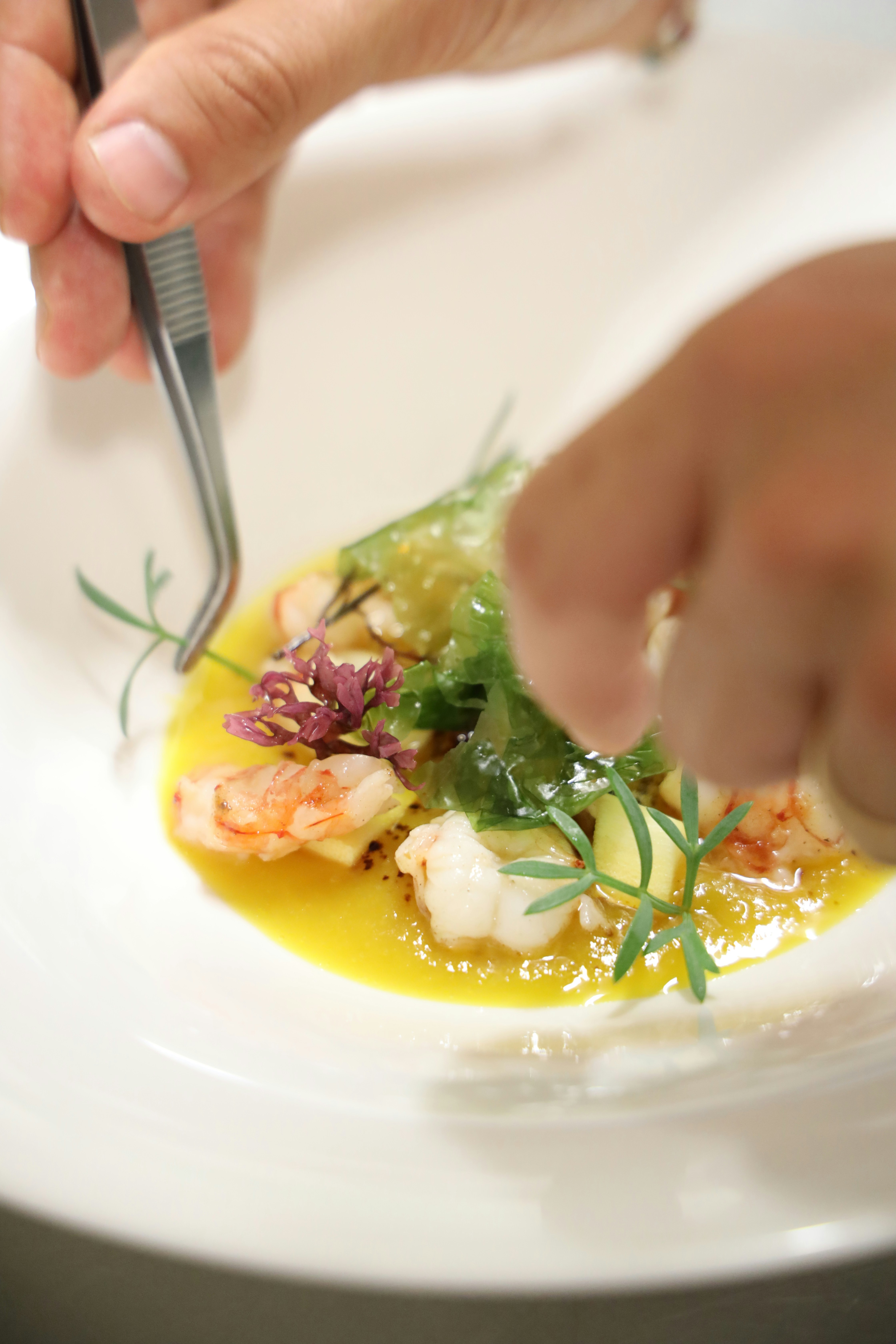 Chef cuisinier – recrutement restauration gastronomique et hôtellerie de luxe