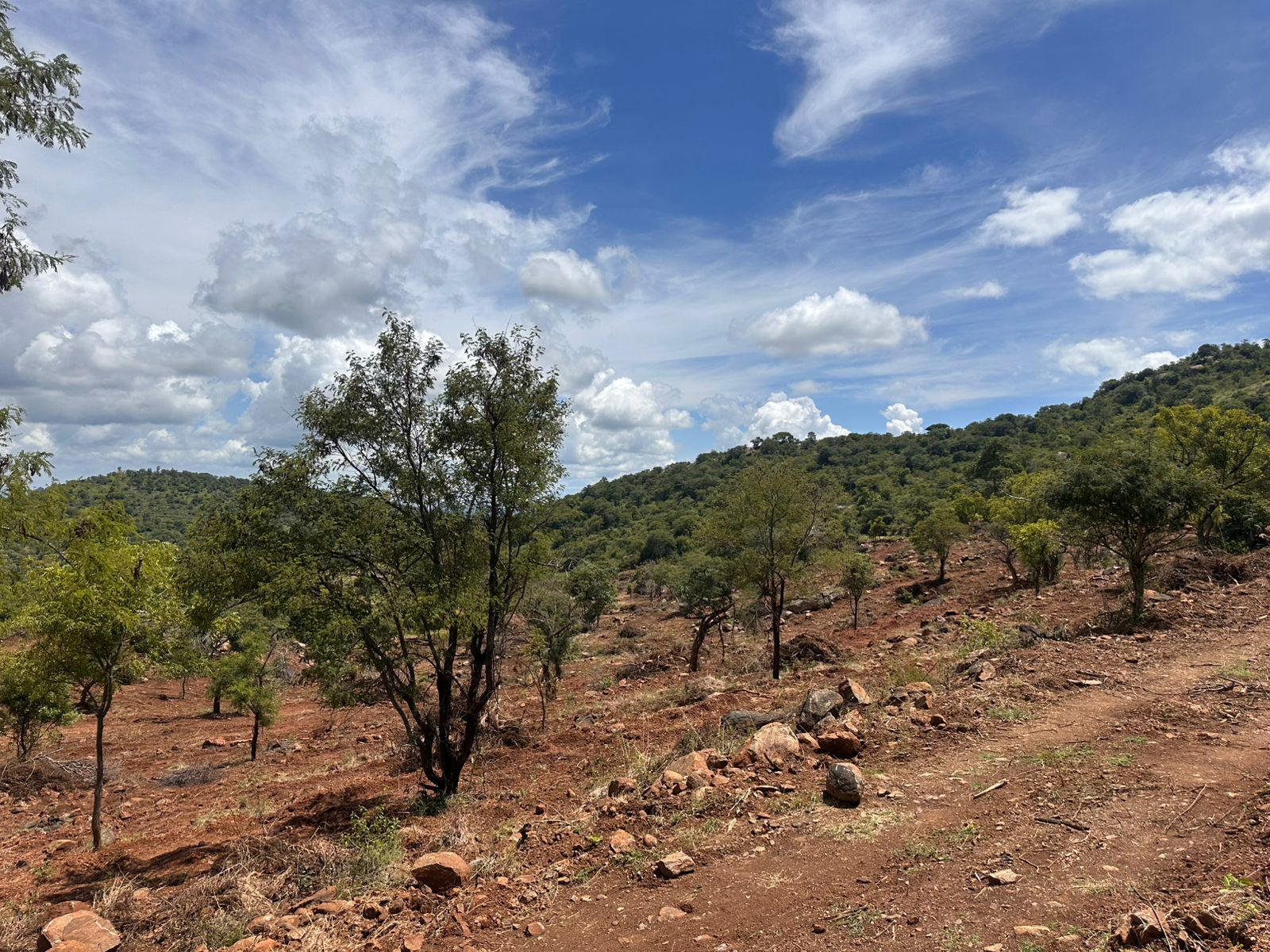 Sannidhi Eco Farms by Swasya