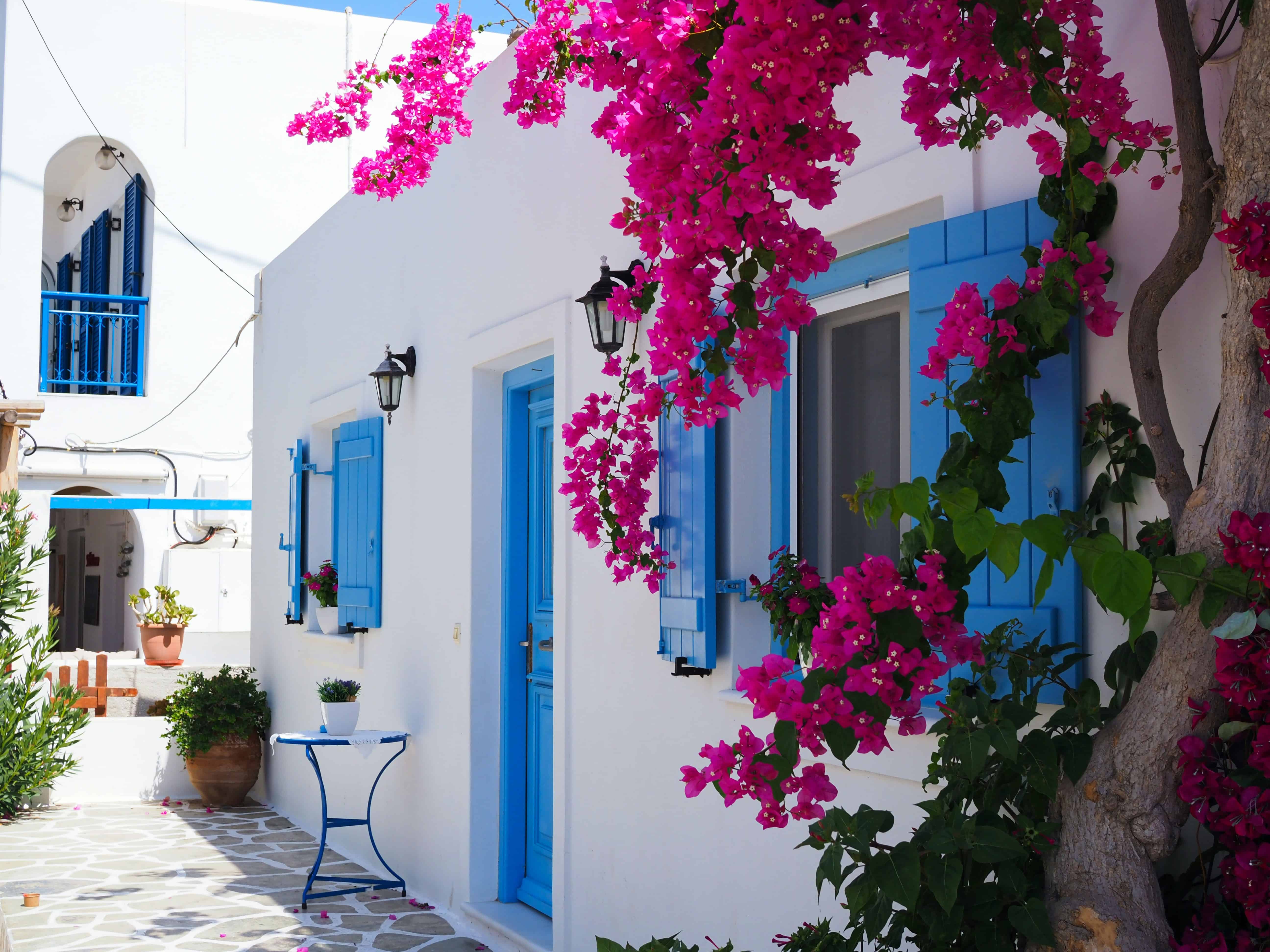 Greek village view with white and blue house and pink flowers