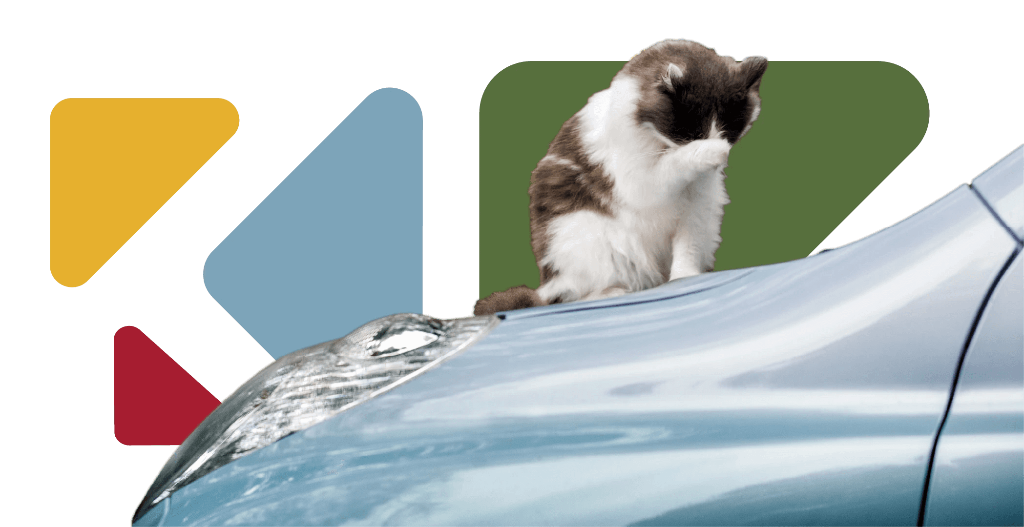 Chat se toilettant sur une voiture