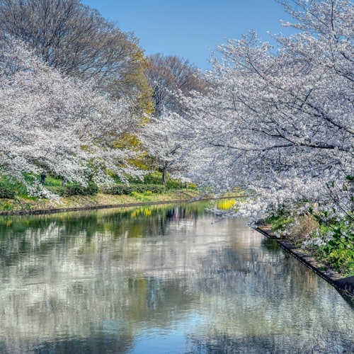 Keihan Spoorweg | Kyoto–Osaka Bezienswaardighedenpas E-voucher (1-daags of 2-daags) & OSAKA Metro 1-daags Pas