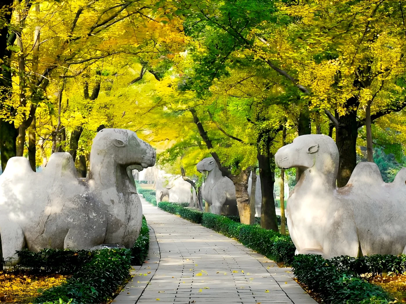 Ming Xiaoling Mausoleum with giant camels guarding
