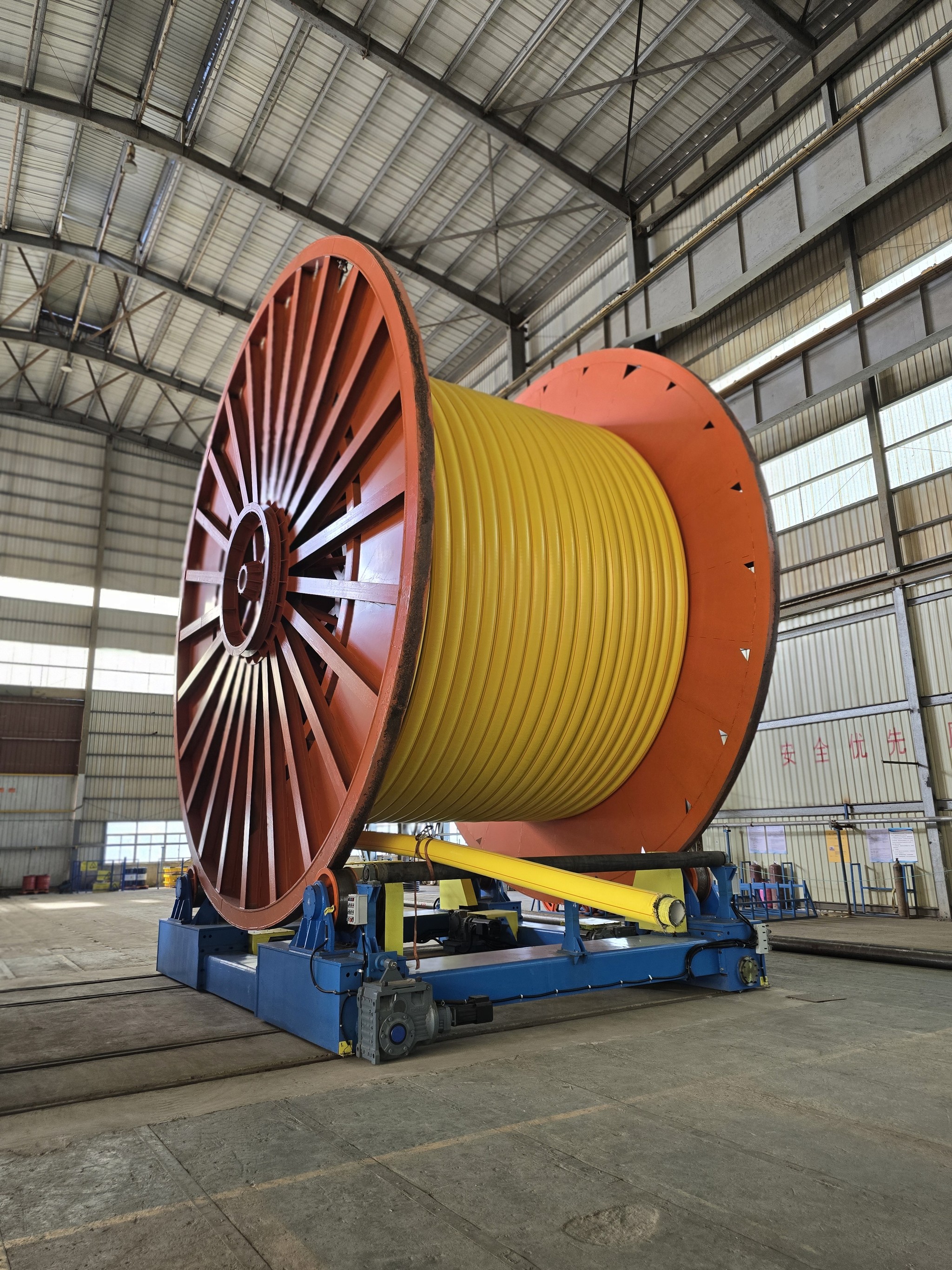 A beautiful woman with curly brown hair and striking blue eyes, framed by lush green leaves and wearing a yellow shirt.