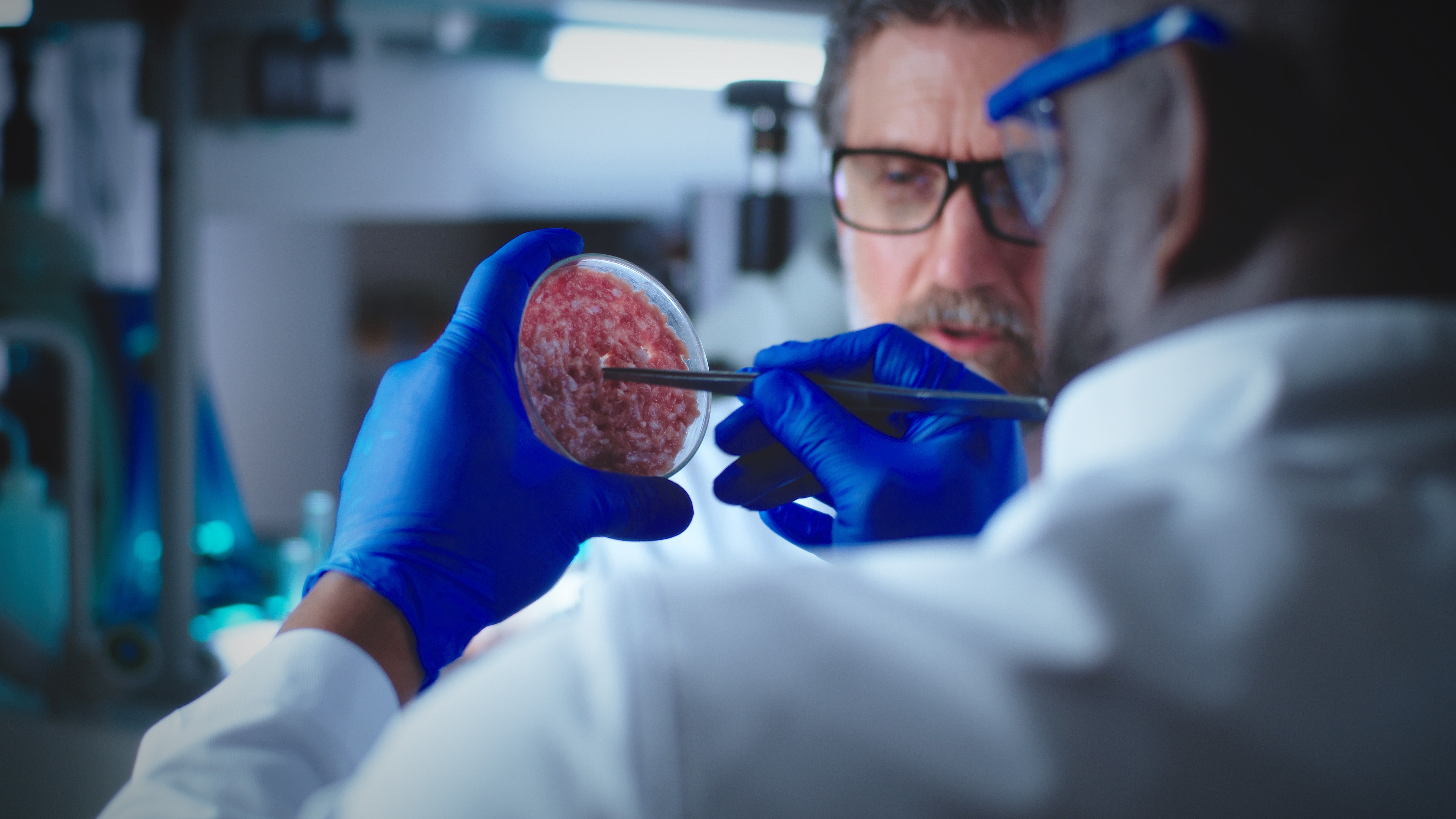A scientist holding a petri dish containing mince meat in his left hand and forceps in his right hand.