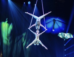 Två artister vända mot kameran, svävande i luften hand i hand så att de bildar två kryss ovanpå varandra. Cirque du Soleils Ovo på London Coliseum och 