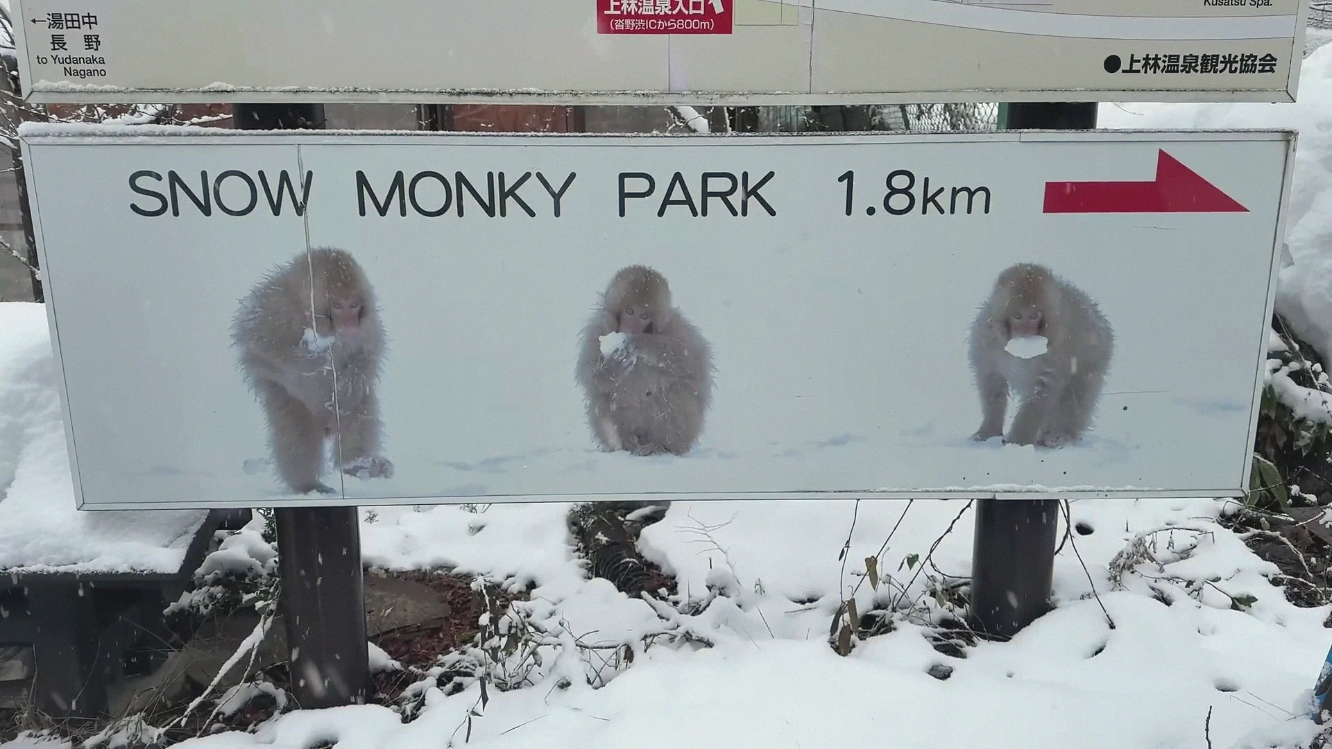 A roadside sign reading 'SNOW MONKY PARK 1.8km' (the sign's own spelling) with three monkey photos and a red arrow, in snow.