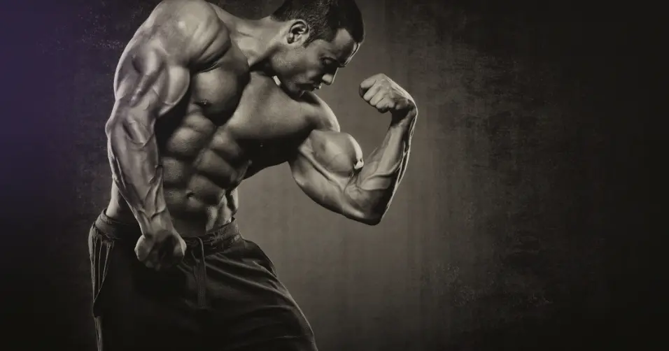 Proper creatine dosage supports muscle gains safely and effectively.