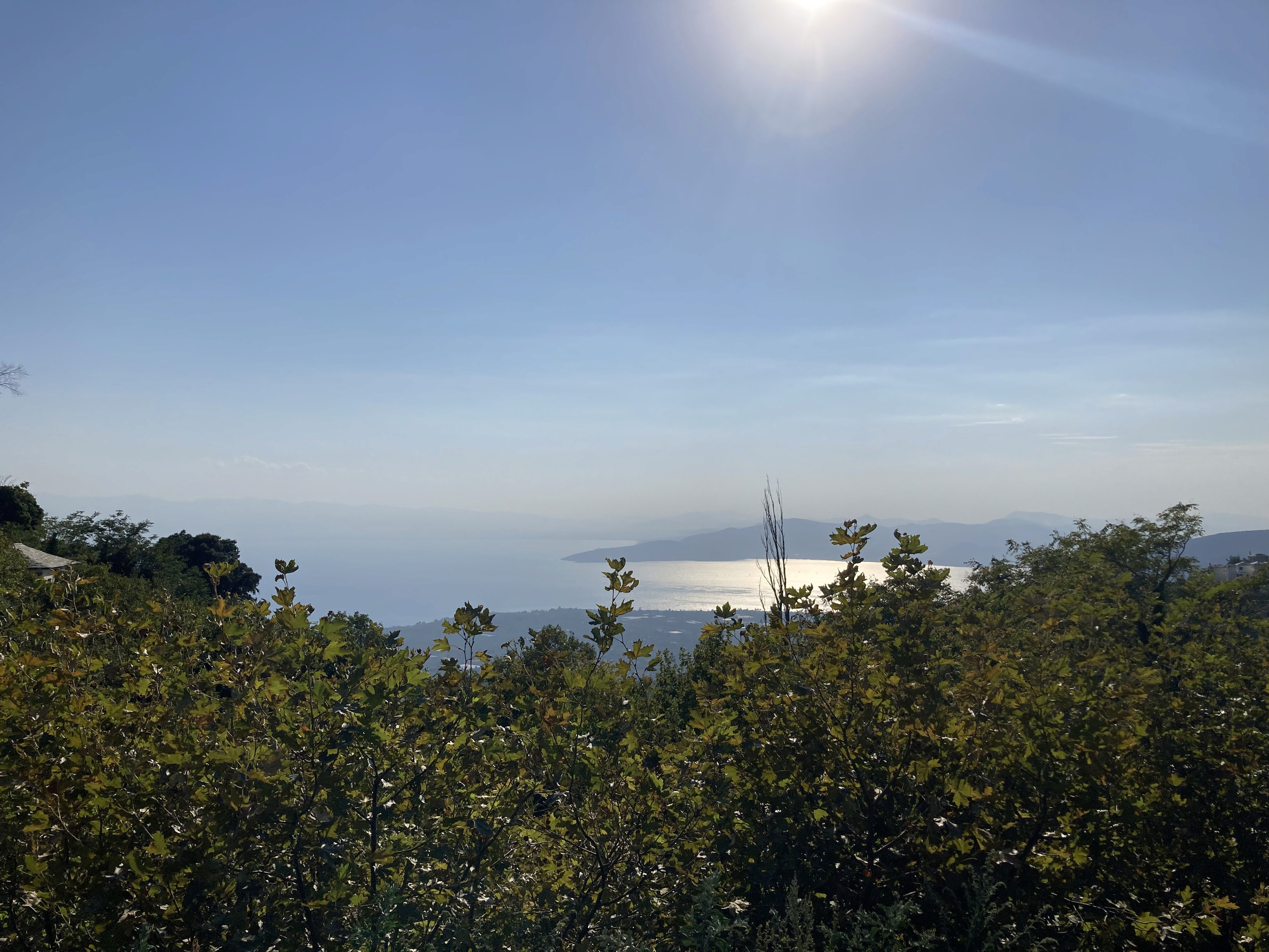 Sea and Vegetation Landscape