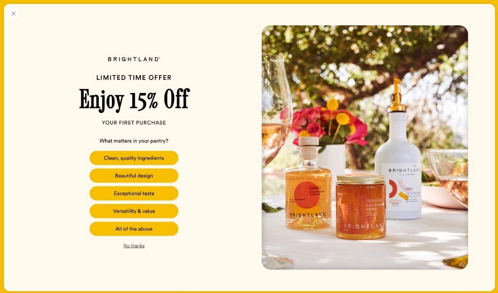 Brightland welcome popup offering 15 percent off and asking what matters in your pantry