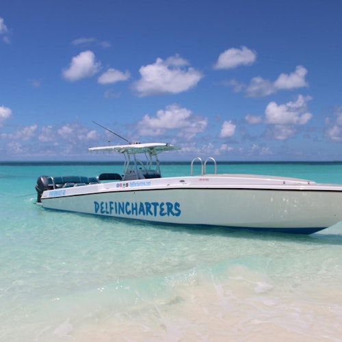 One of the boats in our fleet