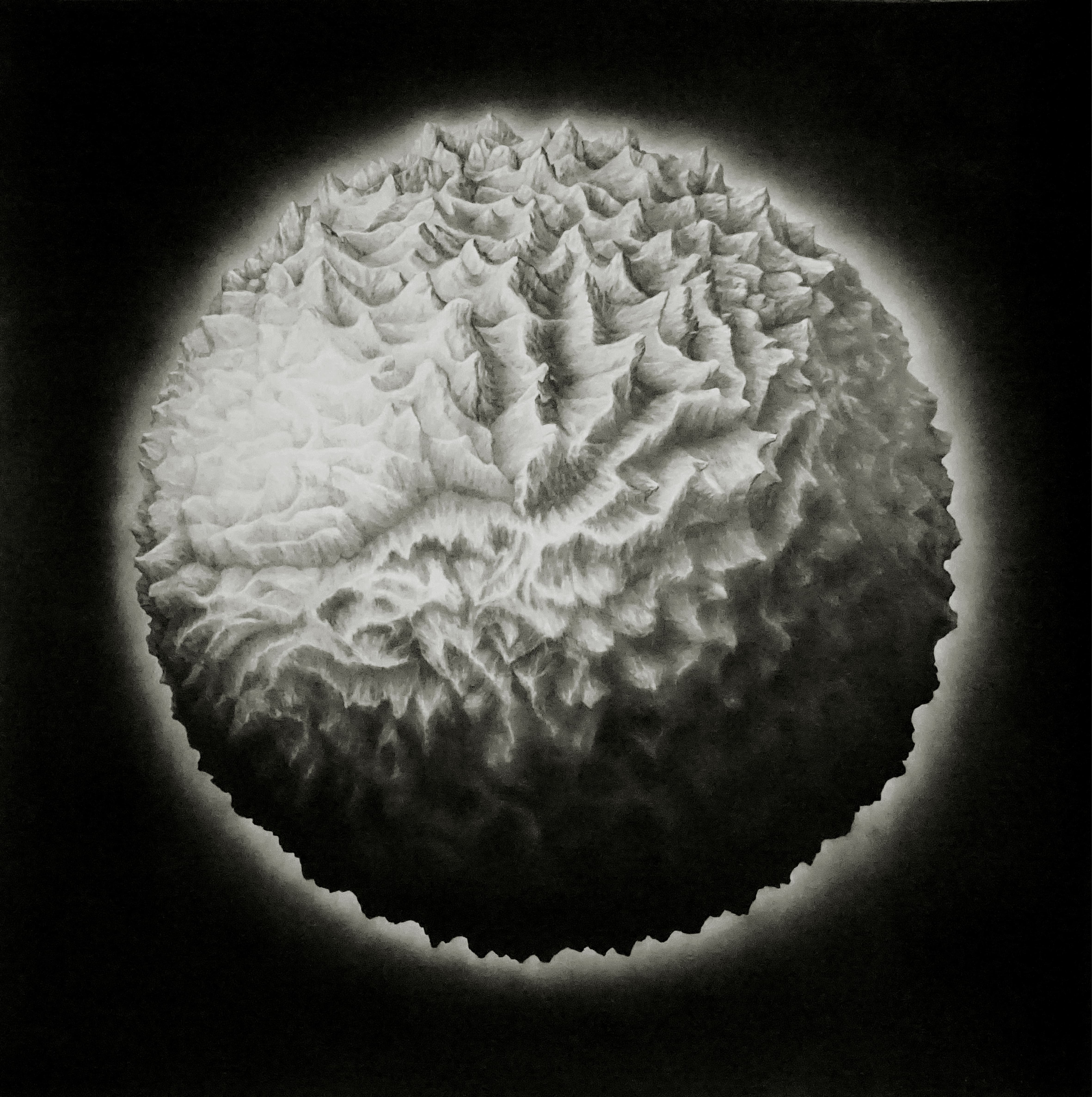 Graphite et pierre noire sur papier