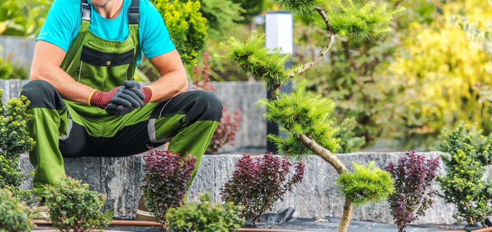 Why Local SEO Matters for Landscape Contractors