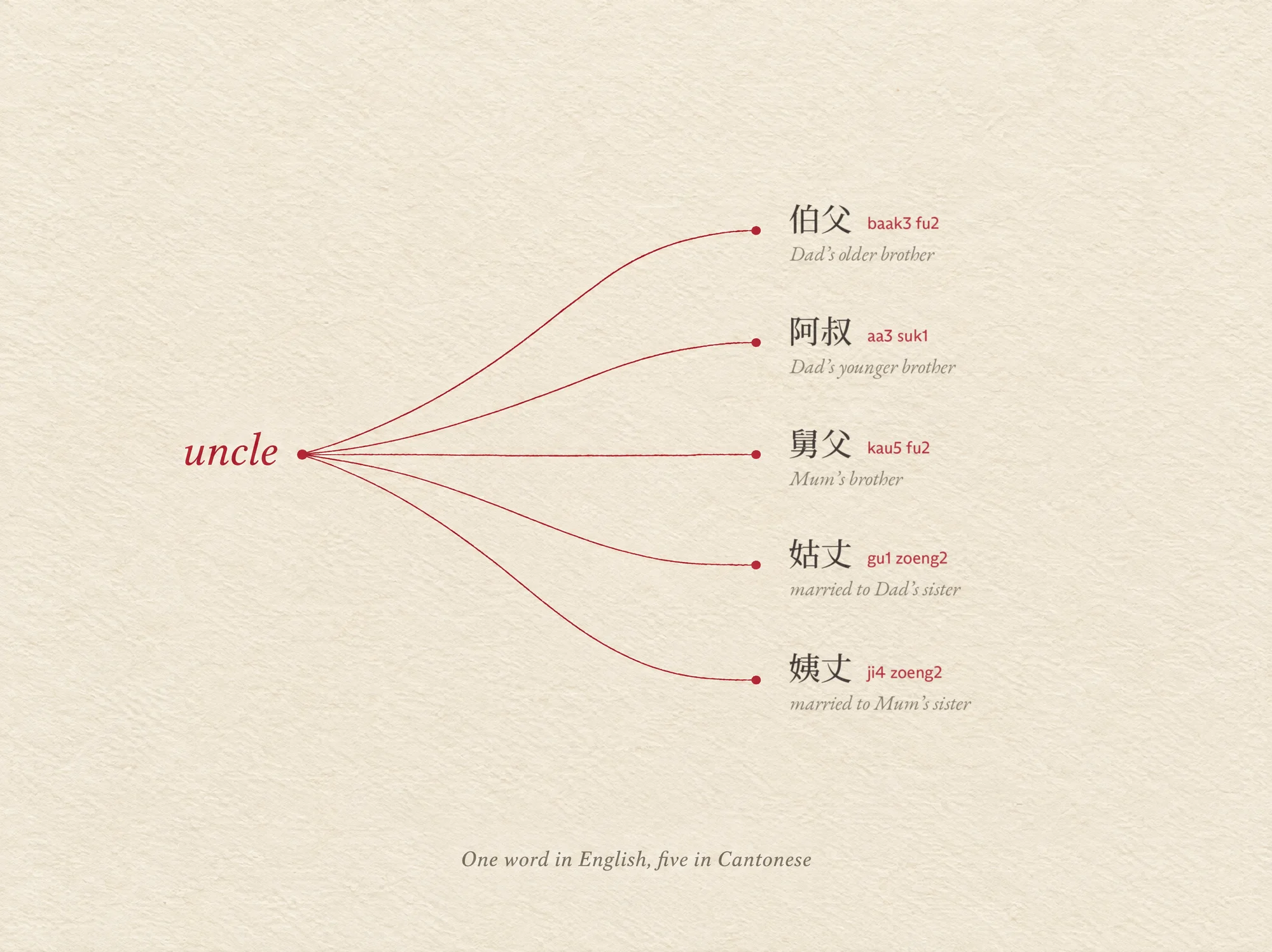 On cream paper, the English word uncle branches along five thin red lines into five Cantonese words: 伯父 baak3 fu2, Dad’s older brother; 阿叔 aa3 suk1, Dad’s younger brother; 舅父 kau5 fu2, Mum’s brother; 姑丈 gu1 zoeng2, married to Dad’s sister; and 姨丈 ji4 zoeng2, married to Mum’s sister. The caption reads: one word in English, five in Cantonese.