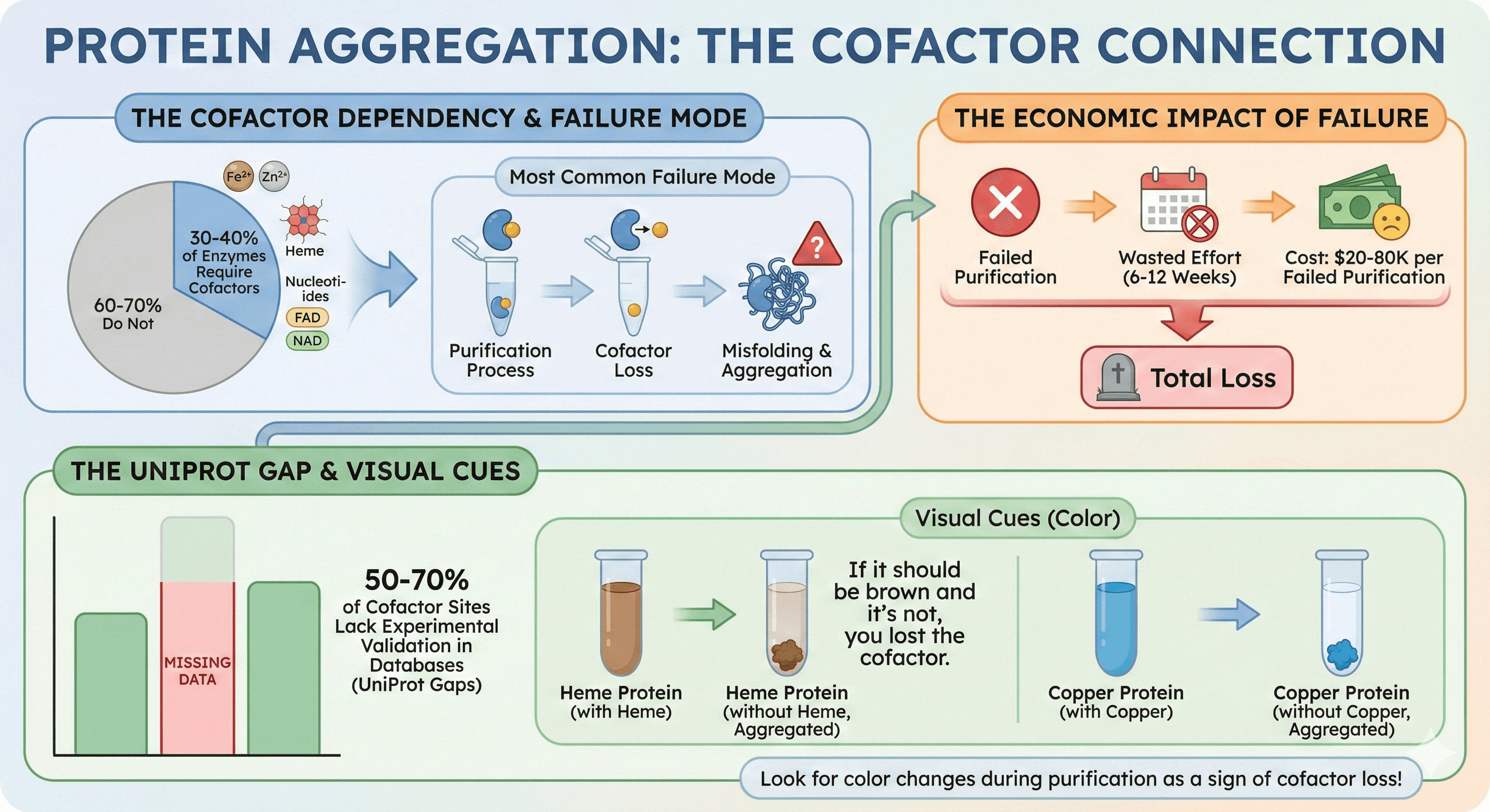 Diagram Showcasing Cofactors' Connection with Protein Aggregation