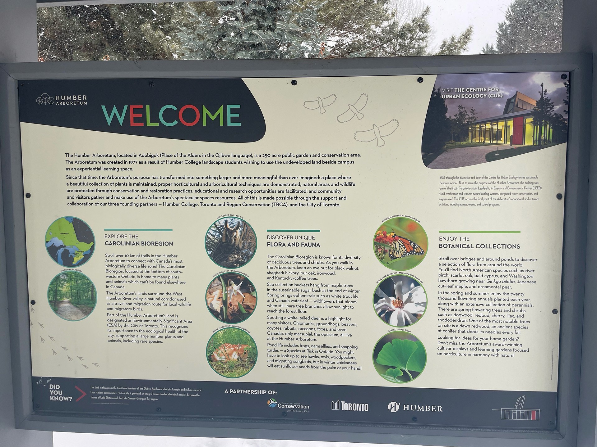 A large outdoor welcome sign at the Humber Arboretum featuring detailed text about the site’s history, biodiversity, and educational purpose. The sign includes sections on the Carolinian Bioregion, local flora and fauna, botanical collections, and the Centre for Urban Ecology. The panel is mounted in a natural setting with trees and winter scenery in the background.