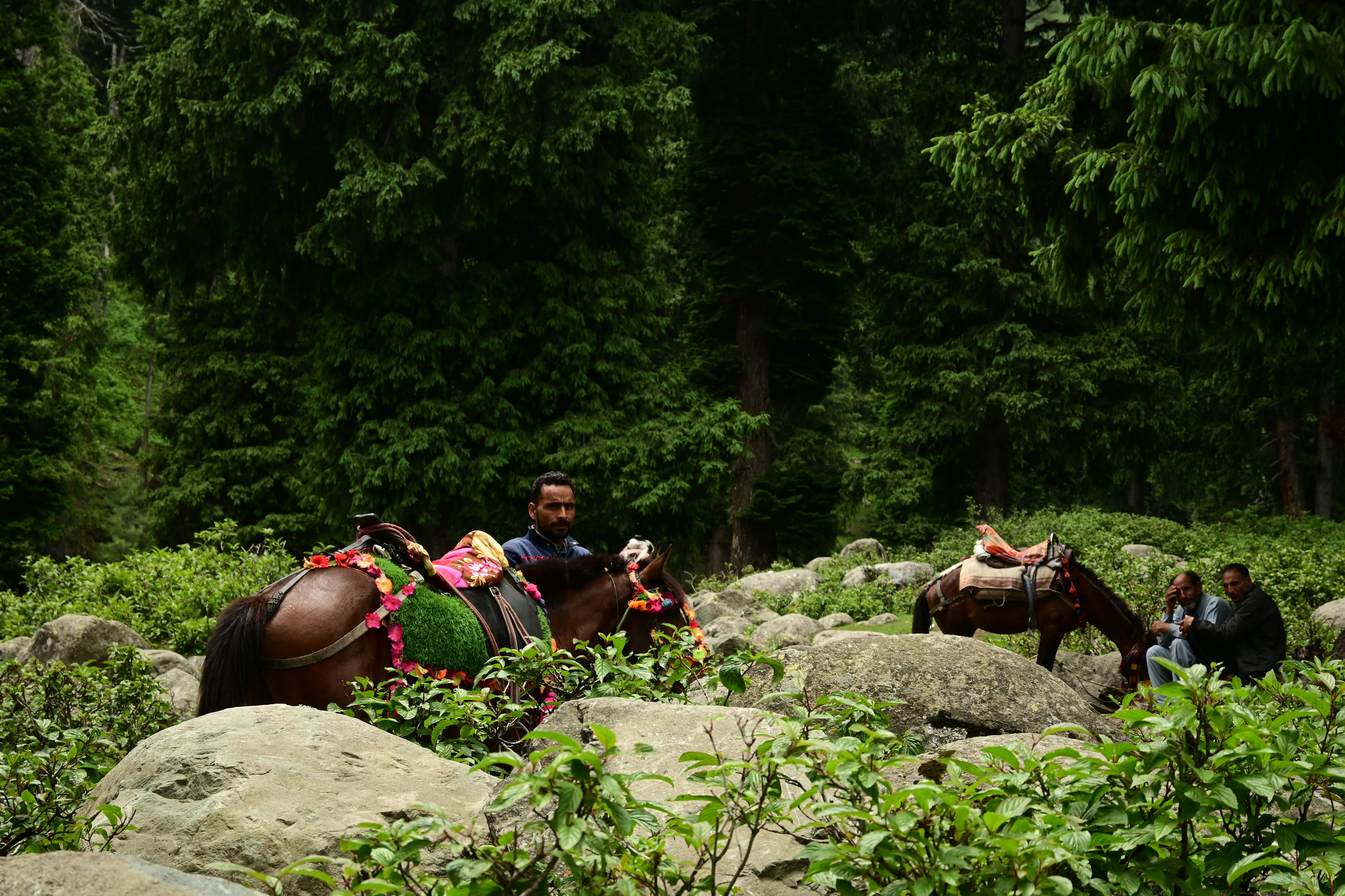 lands faraway, Kashmir - 28.06.23