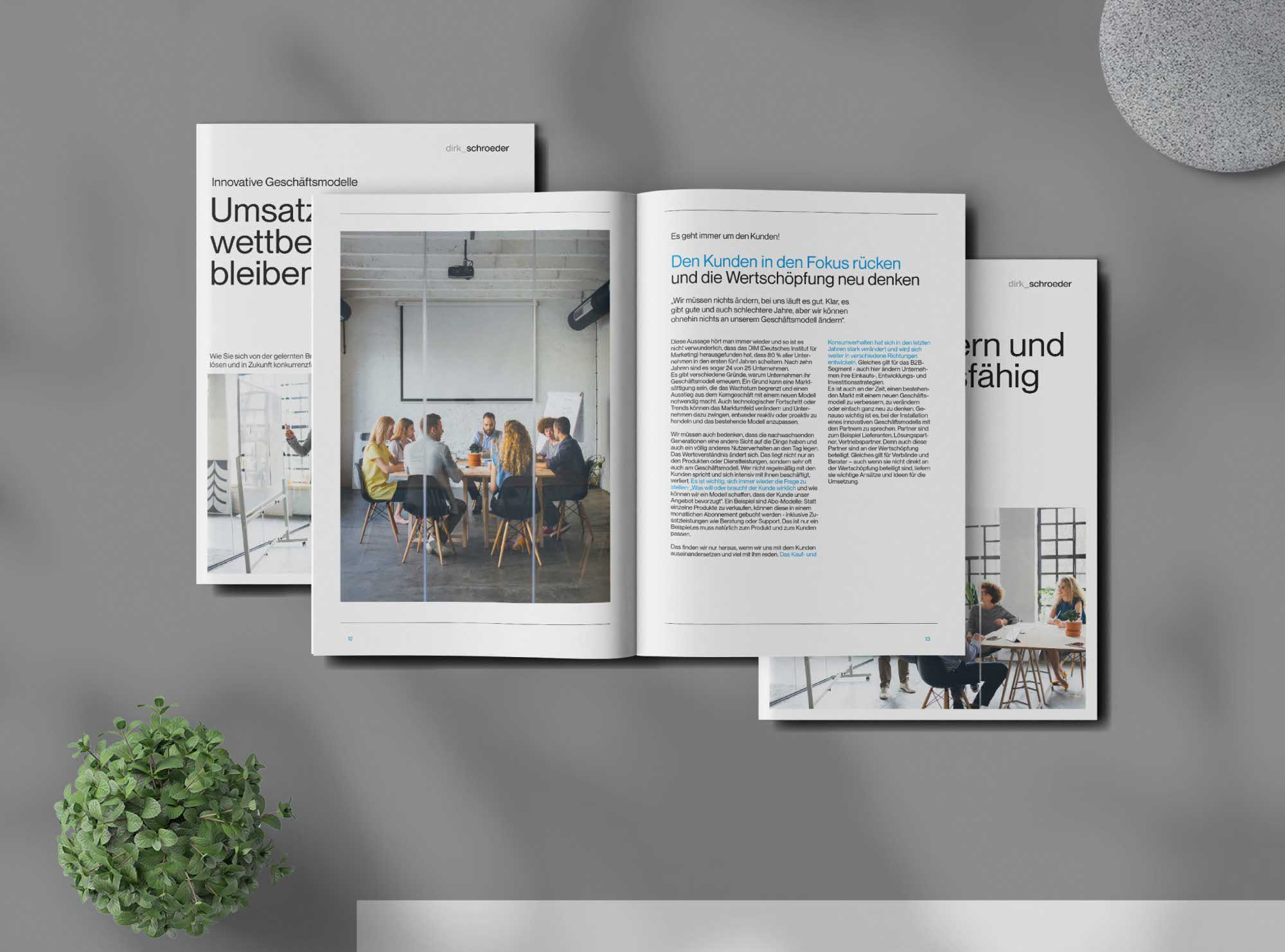 Whitepaper-Inneneite für Dirk Schröder – inhaltlich tief, visuell strukturiert