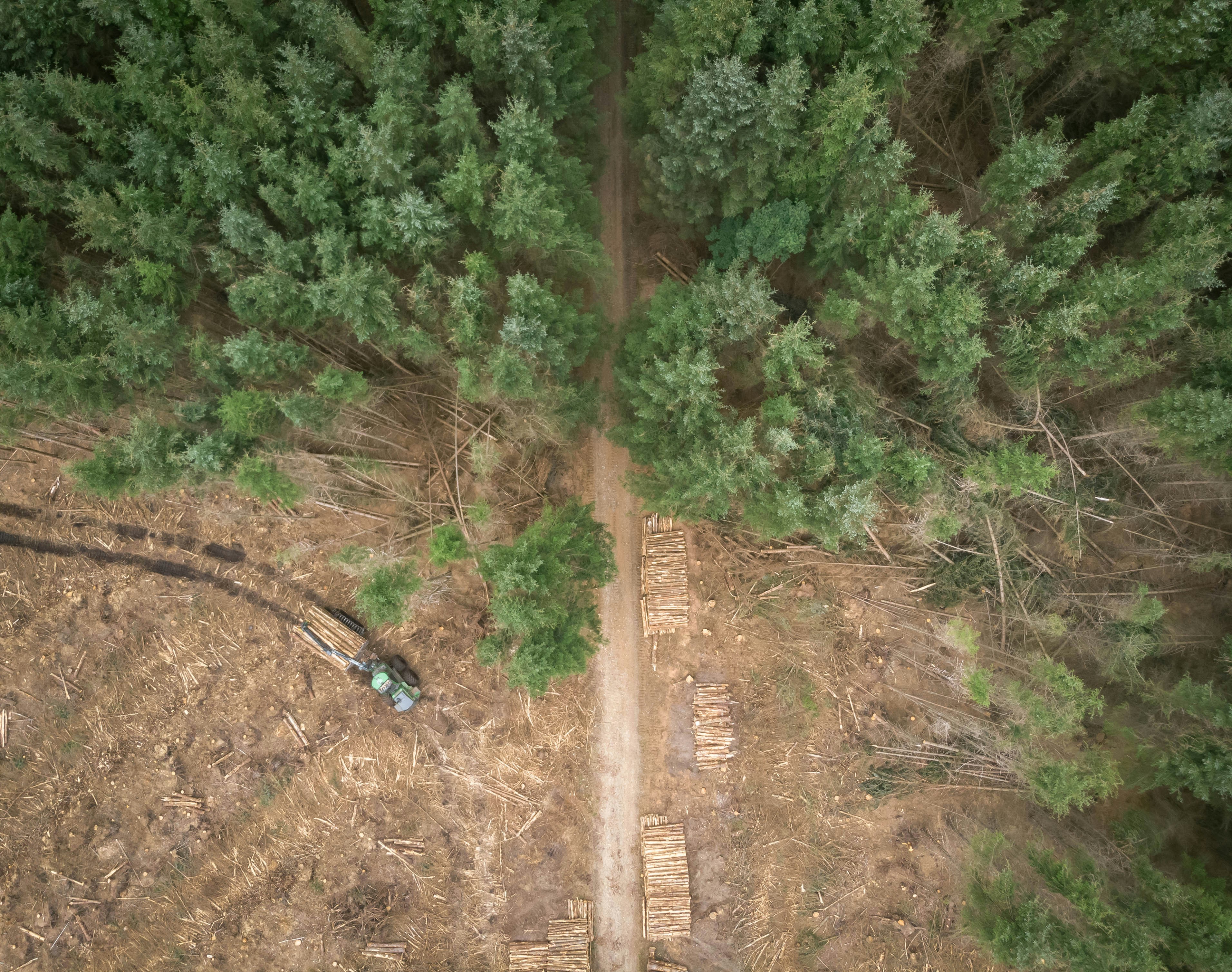 a person standing in a field