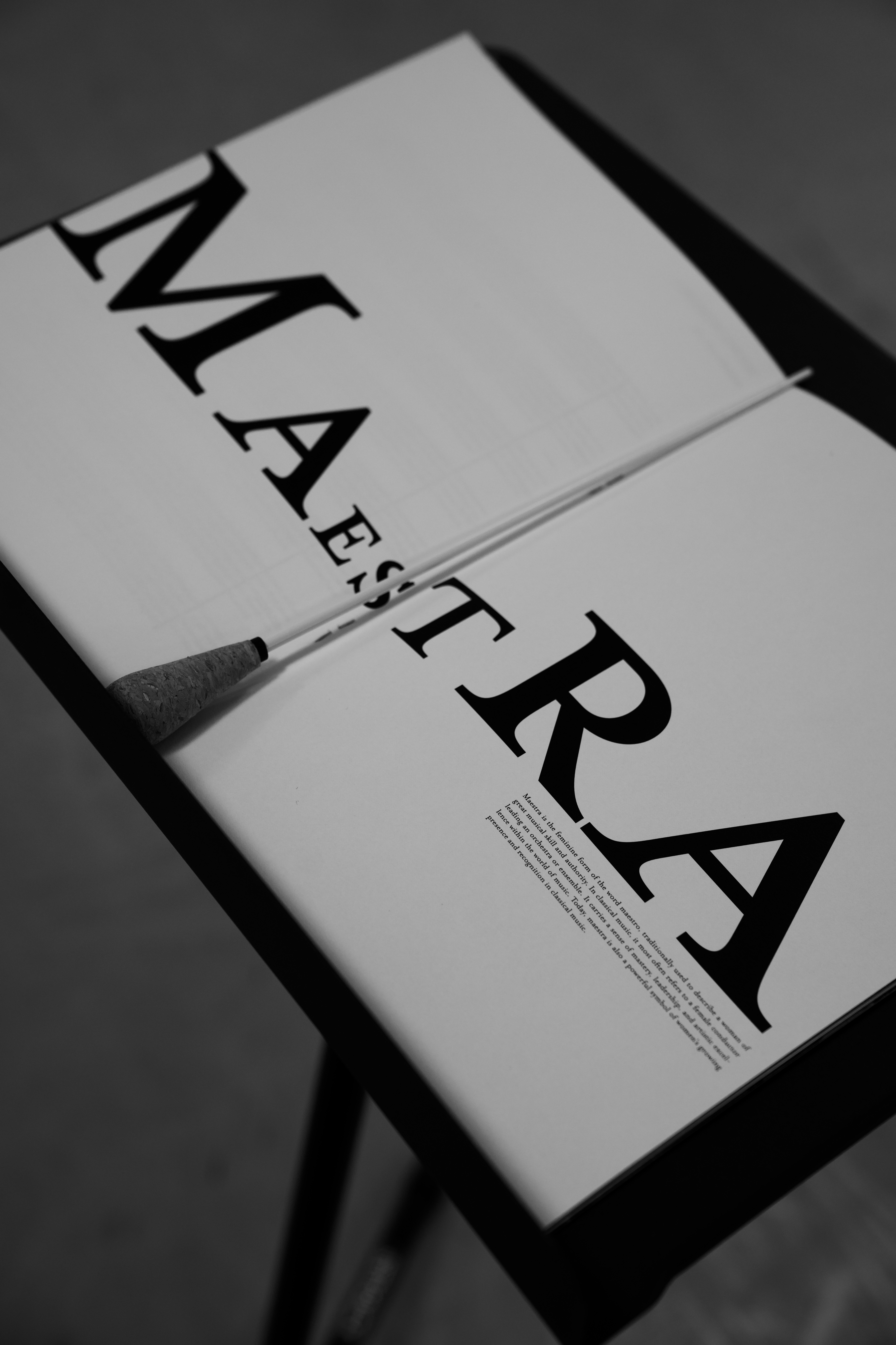 Large Project Gallery Image #2