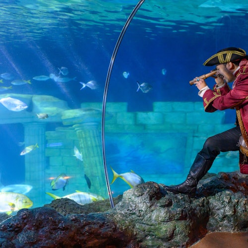 Caves of the Oceans