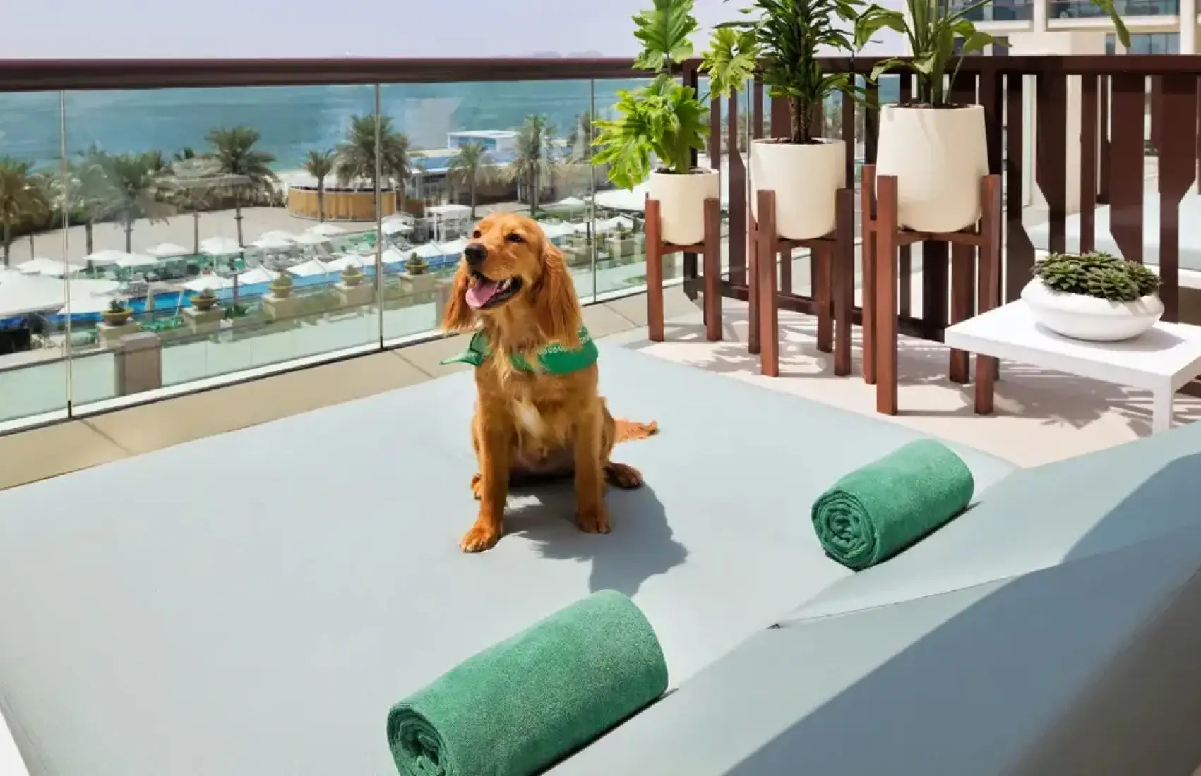 The outdoor pool at Marriott Resort Palm Jumeirah, a pet-friendly beachfront hotel on Palm Jumeirah