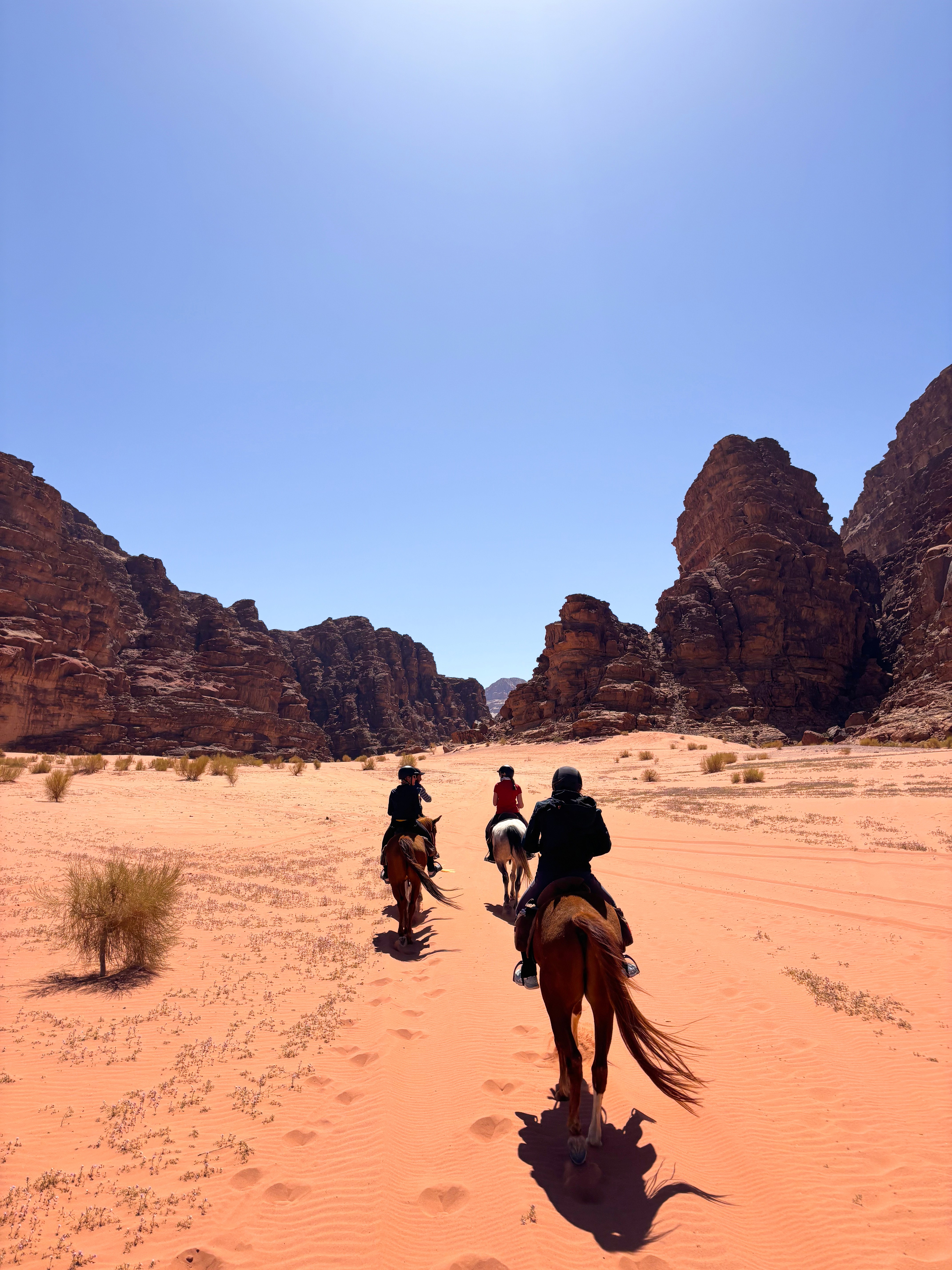 The image featured at the top of the about us page #1