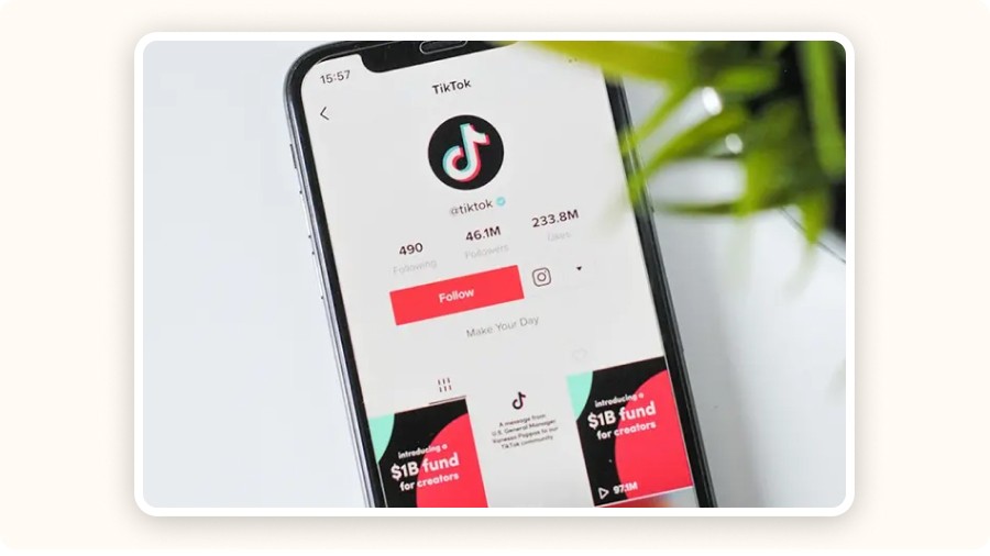 Choosing Winning Products and Niches for Organic Dropshipping on TikTok