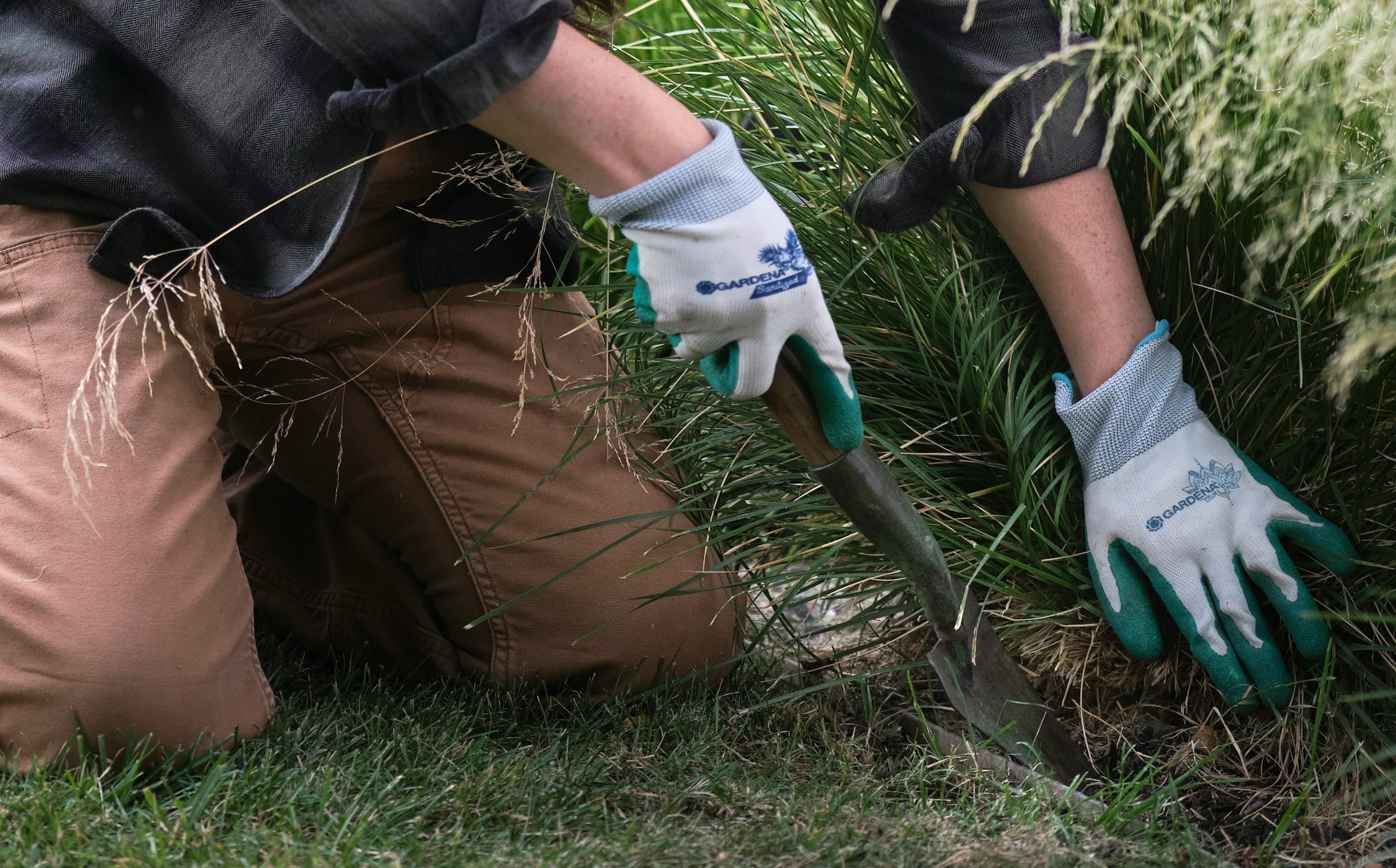 Jardinier portant des gants bleus taillant et entretenant des plantes dans un parterre.