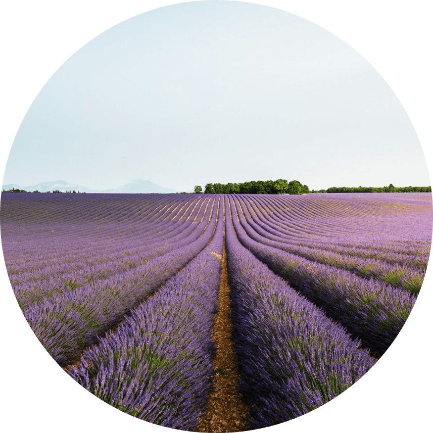 Girl smiling with coffee mug