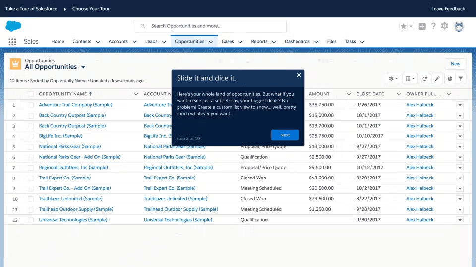 Salesforce interface with the opportunities tab open, showing key details of accounts
