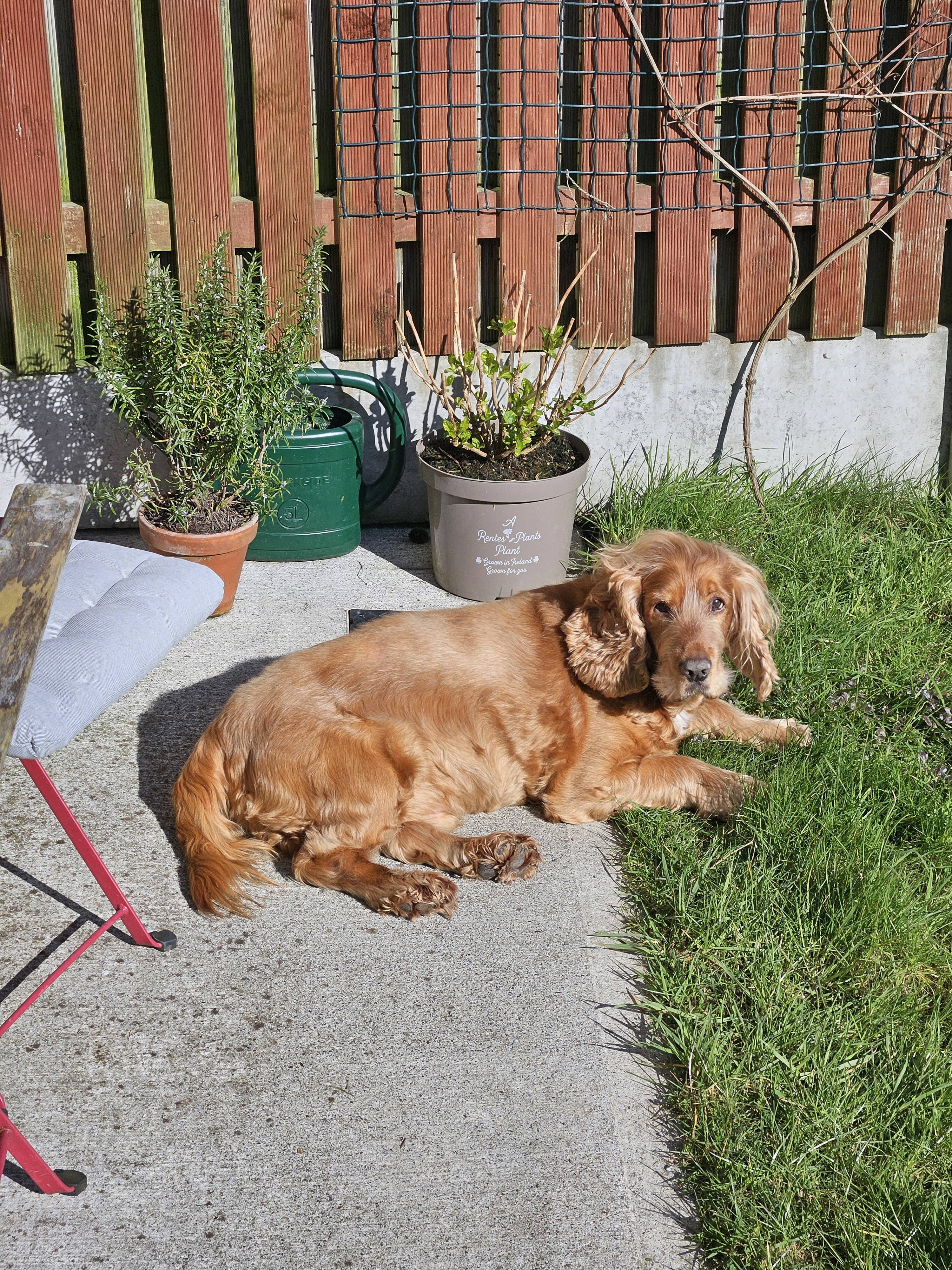 a building with persony windows