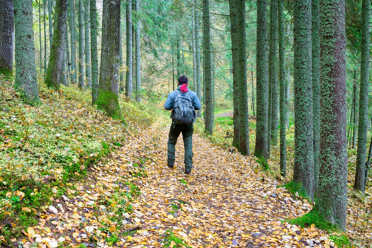 Matkaline Vällamäe matkarajal. Foto Sven Zacek