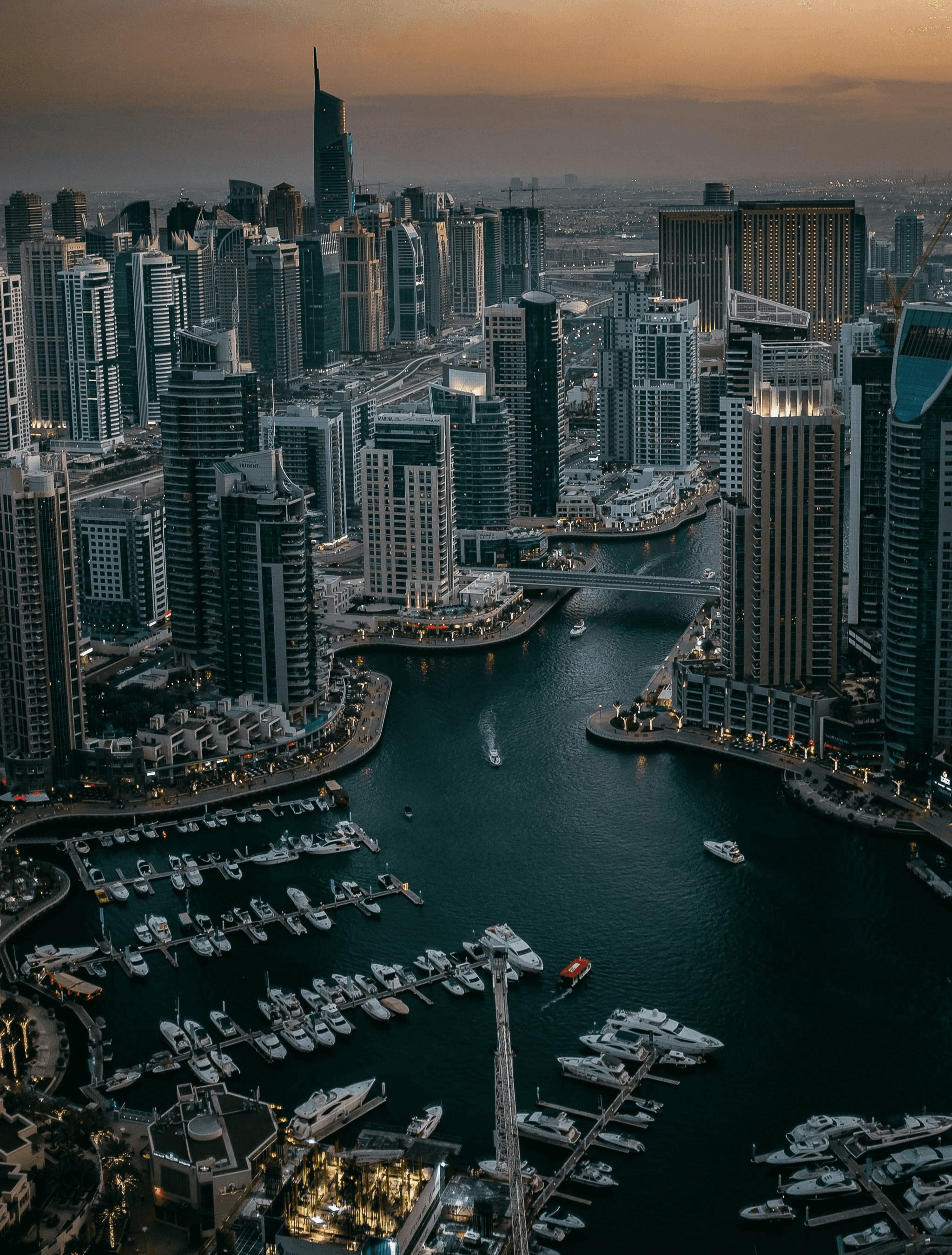 A large marina with many boats in it