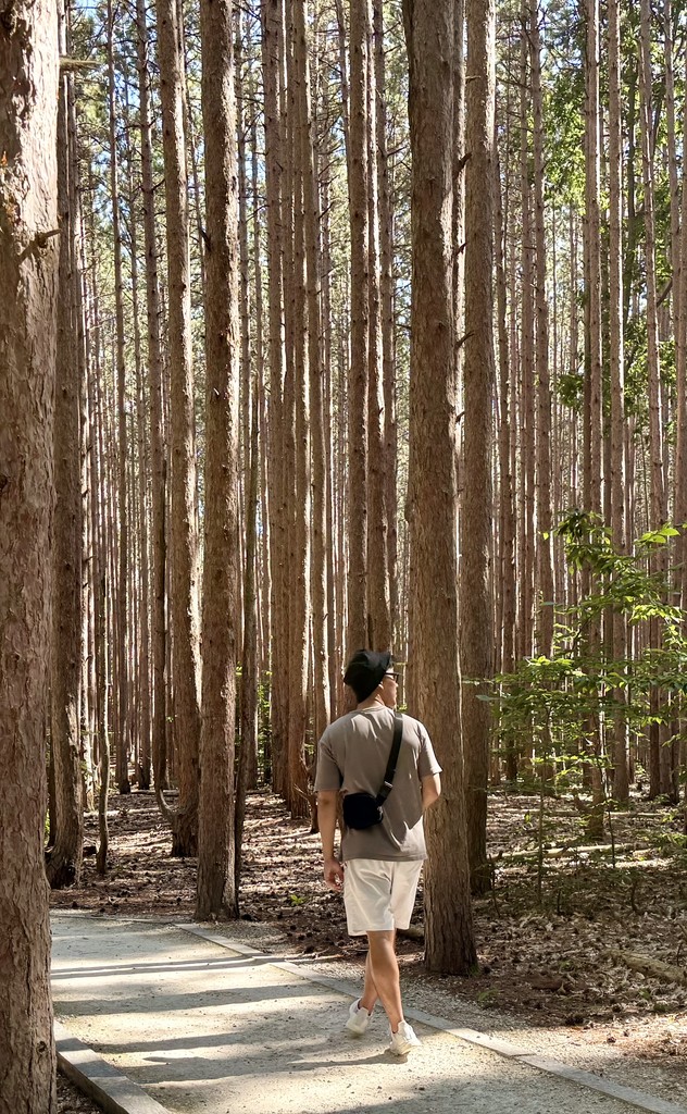 The image featured at the top of the about us page #2