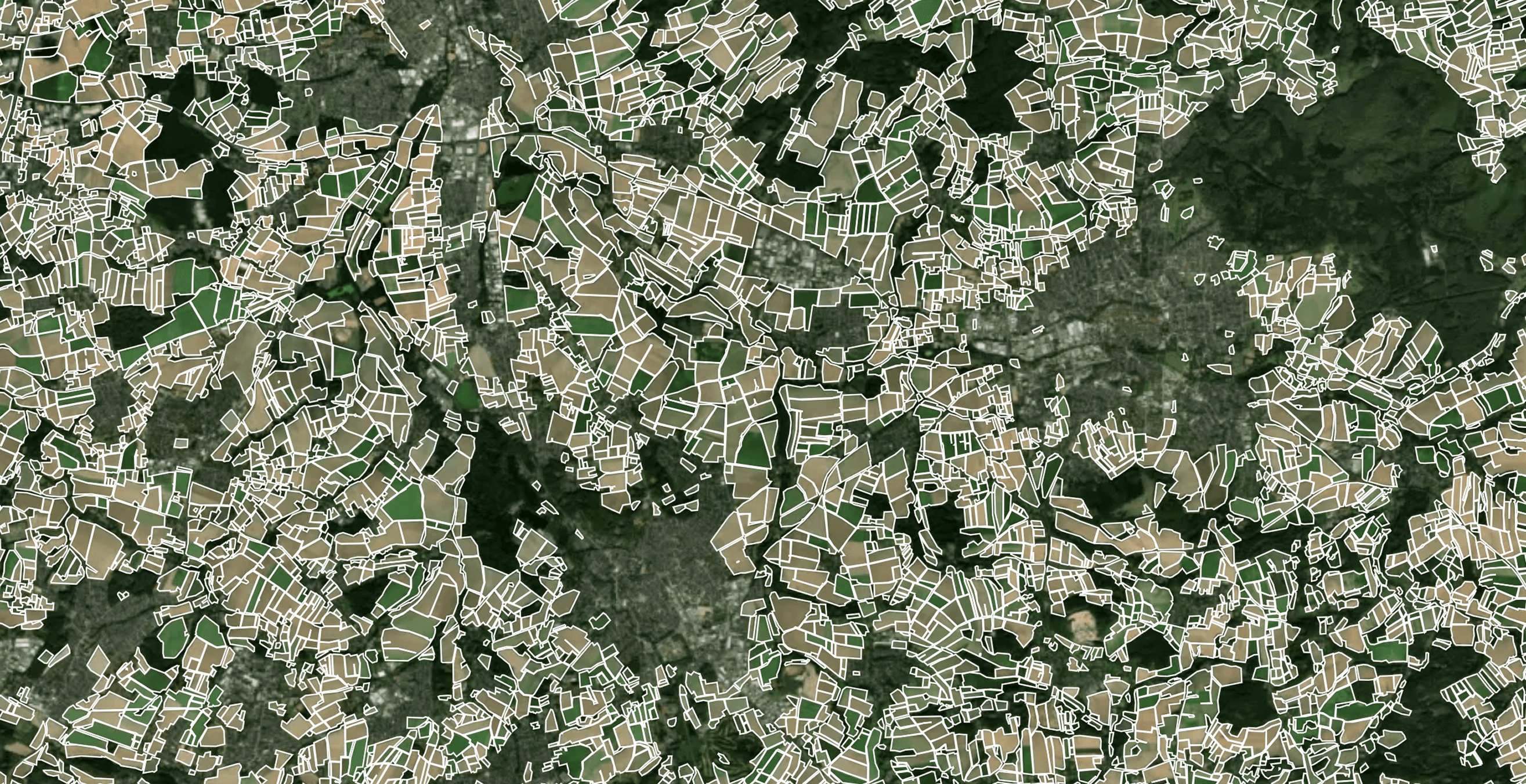 DigiFarm Field Delineation Map