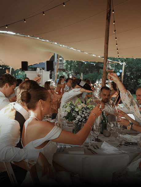 Close-up of a tree stump showing growth rings and a textured brown wood surface.